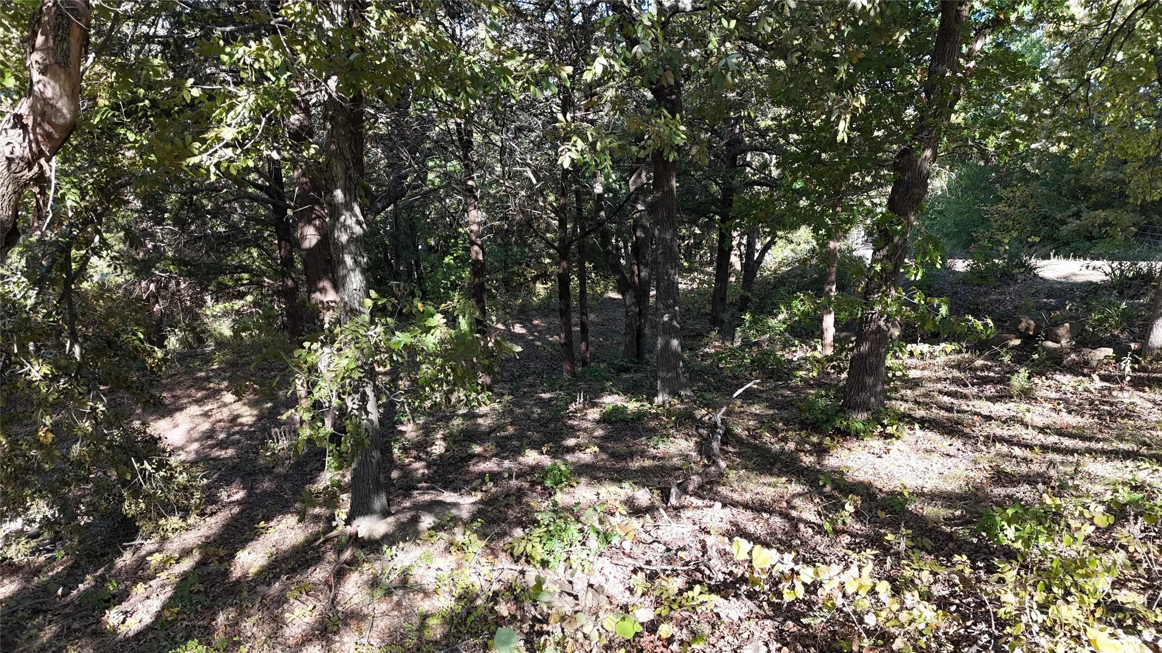 Unimproved Land For Sale in Grayson County , TBD 881-3 Tanglewood Trail, Pottsboro, Texas 75076, 0, 0, Garage spaces, 0 Sqft, built in 0, mls#20770875, Real Estate Agent in Pottsboro, Homes For Sale in Grayson county, Homes For Sale in Pottsboro, Realtor in Pottsboro Texas, Real Estate Brokerage Independent Realty Texas, Luminita Cordes Realtor