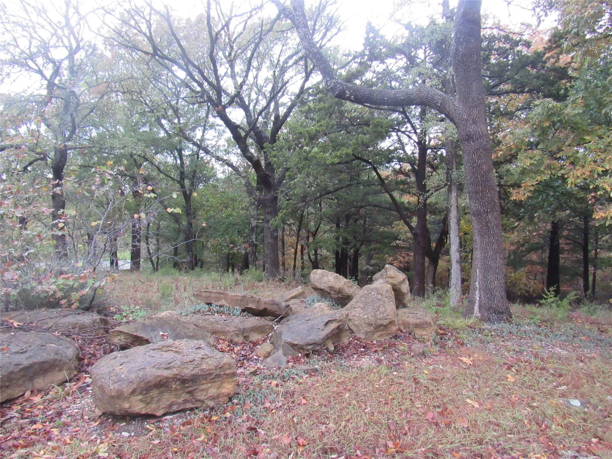 Unimproved Land For Sale in Grayson County , TBD 881-3 Tanglewood Trail, Pottsboro, Texas 75076, 0, 0, Garage spaces, 0 Sqft, built in 0, mls#20770875, Real Estate Agent in Pottsboro, Homes For Sale in Grayson county, Homes For Sale in Pottsboro, Realtor in Pottsboro Texas, Real Estate Brokerage Independent Realty Texas, Luminita Cordes Realtor