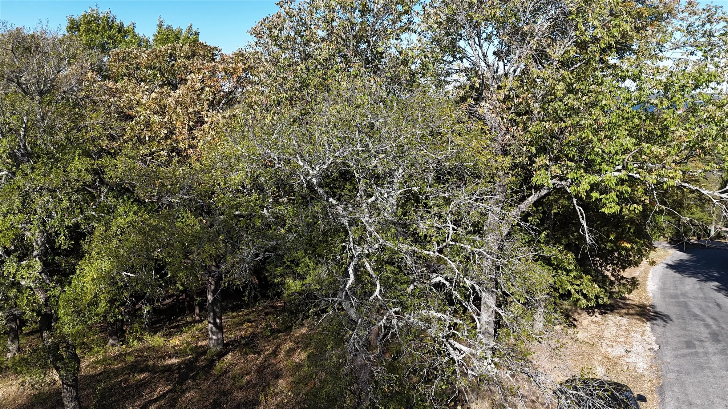 Unimproved Land For Sale in Grayson County , TBD 881-3 Tanglewood Trail, Pottsboro, Texas 75076, 0, 0, Garage spaces, 0 Sqft, built in 0, mls#20770875, Real Estate Agent in Pottsboro, Homes For Sale in Grayson county, Homes For Sale in Pottsboro, Realtor in Pottsboro Texas, Real Estate Brokerage Independent Realty Texas, Luminita Cordes Realtor
