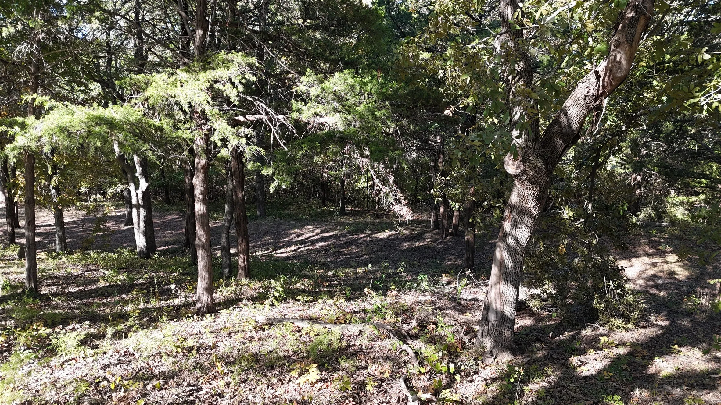 Unimproved Land For Sale in Grayson County , TBD 881-3 Tanglewood Trail, Pottsboro, Texas 75076, 0, 0, Garage spaces, 0 Sqft, built in 0, mls#20770875, Real Estate Agent in Pottsboro, Homes For Sale in Grayson county, Homes For Sale in Pottsboro, Realtor in Pottsboro Texas, Real Estate Brokerage Independent Realty Texas, Luminita Cordes Realtor