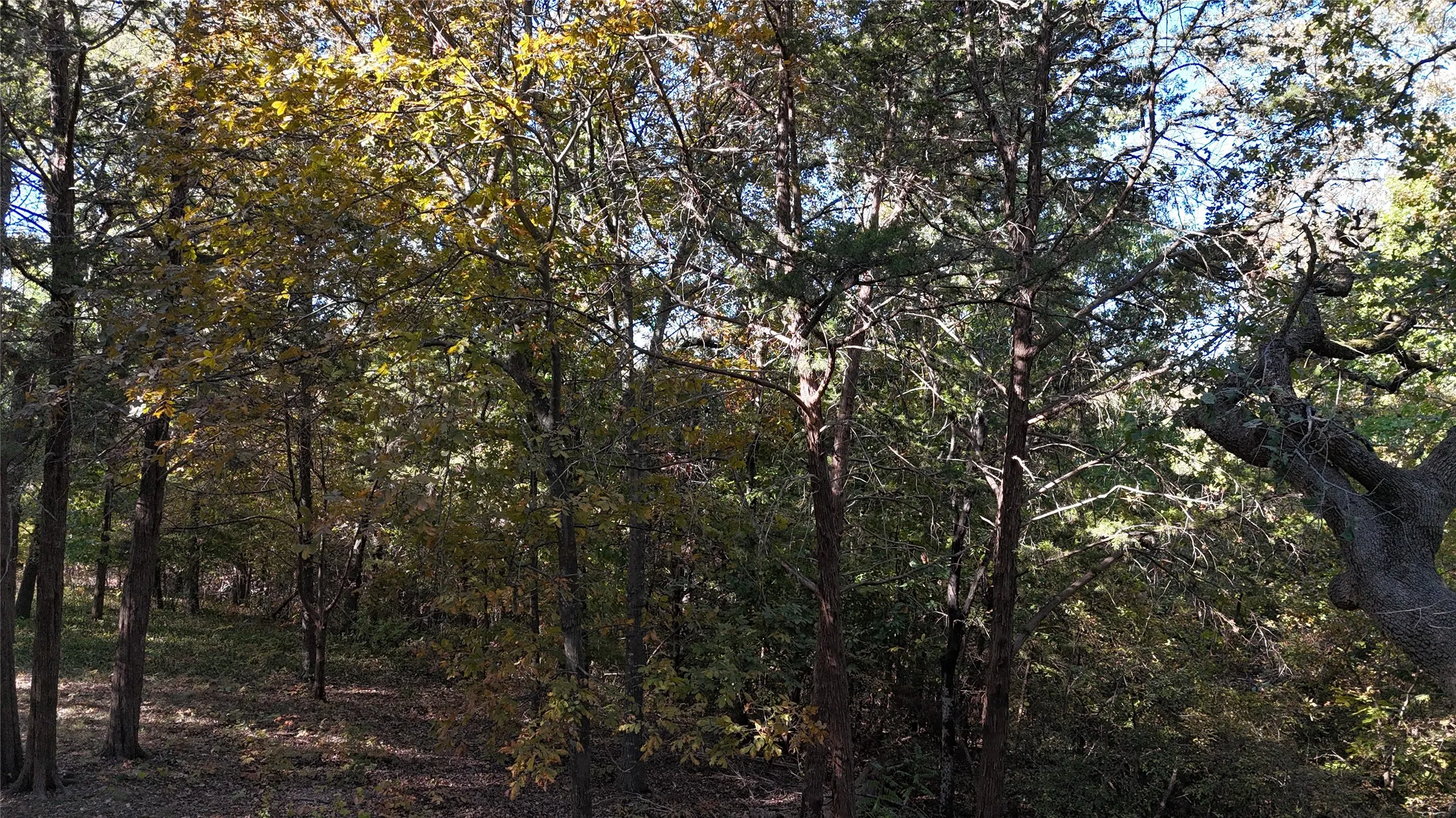 Unimproved Land For Sale in Grayson County , TBD 881-3 Tanglewood Trail, Pottsboro, Texas 75076, 0, 0, Garage spaces, 0 Sqft, built in 0, mls#20770875, Real Estate Agent in Pottsboro, Homes For Sale in Grayson county, Homes For Sale in Pottsboro, Realtor in Pottsboro Texas, Real Estate Brokerage Independent Realty Texas, Luminita Cordes Realtor