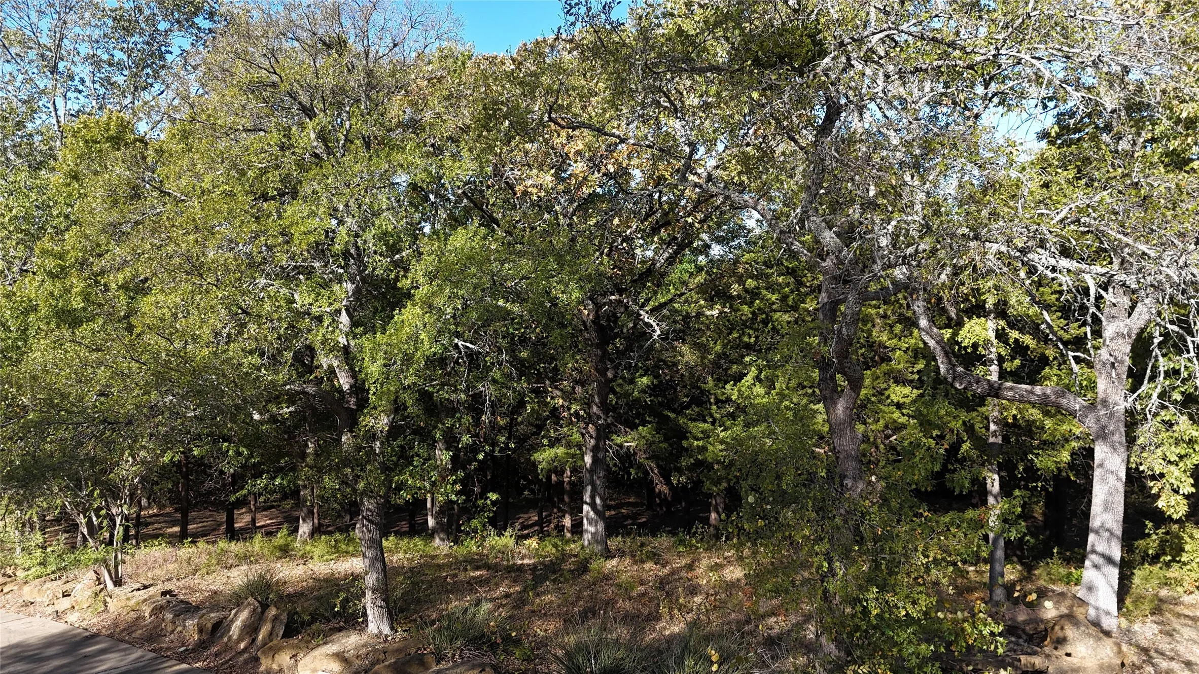 Unimproved Land For Sale in Grayson County , TBD 881-3 Tanglewood Trail, Pottsboro, Texas 75076, 0, 0, Garage spaces, 0 Sqft, built in 0, mls#20770875, Real Estate Agent in Pottsboro, Homes For Sale in Grayson county, Homes For Sale in Pottsboro, Realtor in Pottsboro Texas, Real Estate Brokerage Independent Realty Texas, Luminita Cordes Realtor