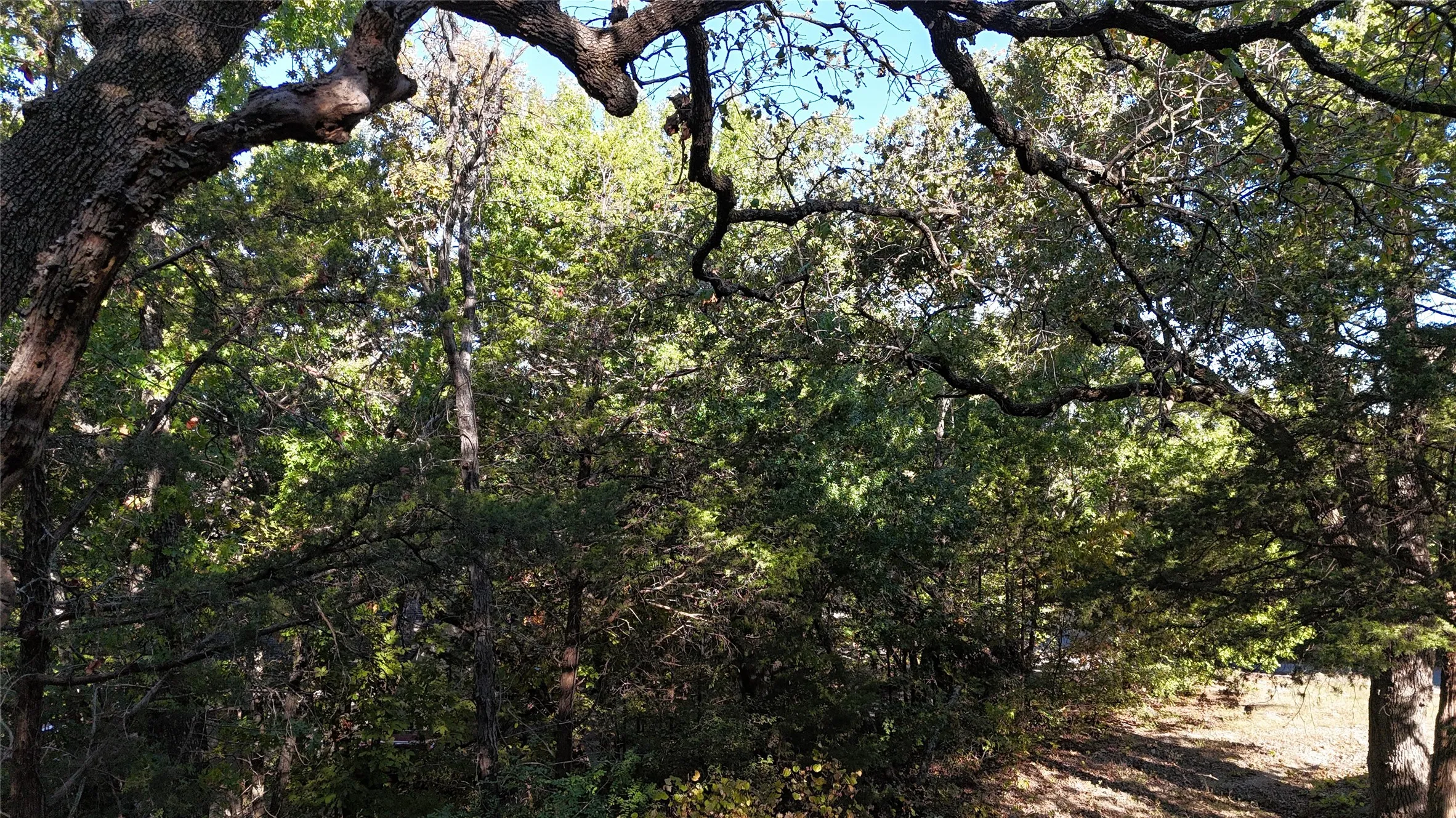 Unimproved Land For Sale in Grayson County , TBD 881-3 Tanglewood Trail, Pottsboro, Texas 75076, 0, 0, Garage spaces, 0 Sqft, built in 0, mls#20770875, Real Estate Agent in Pottsboro, Homes For Sale in Grayson county, Homes For Sale in Pottsboro, Realtor in Pottsboro Texas, Real Estate Brokerage Independent Realty Texas, Luminita Cordes Realtor