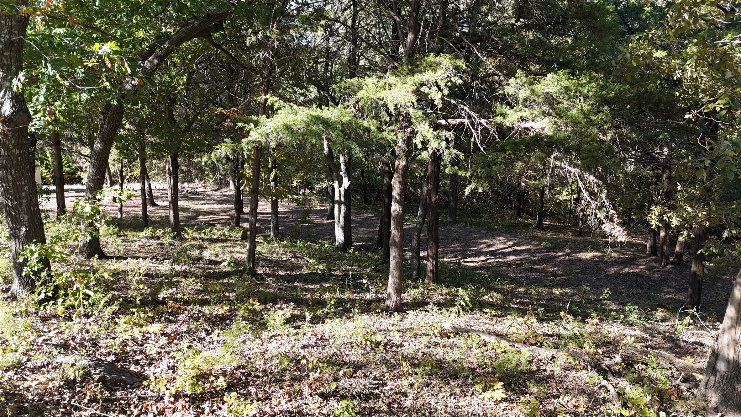 Unimproved Land For Sale in Grayson County , TBD 881-3 Tanglewood Trail, Pottsboro, Texas 75076, 0, 0, Garage spaces, 0 Sqft, built in 0, mls#20770875, Real Estate Agent in Pottsboro, Homes For Sale in Grayson county, Homes For Sale in Pottsboro, Realtor in Pottsboro Texas, Real Estate Brokerage Independent Realty Texas, Luminita Cordes Realtor