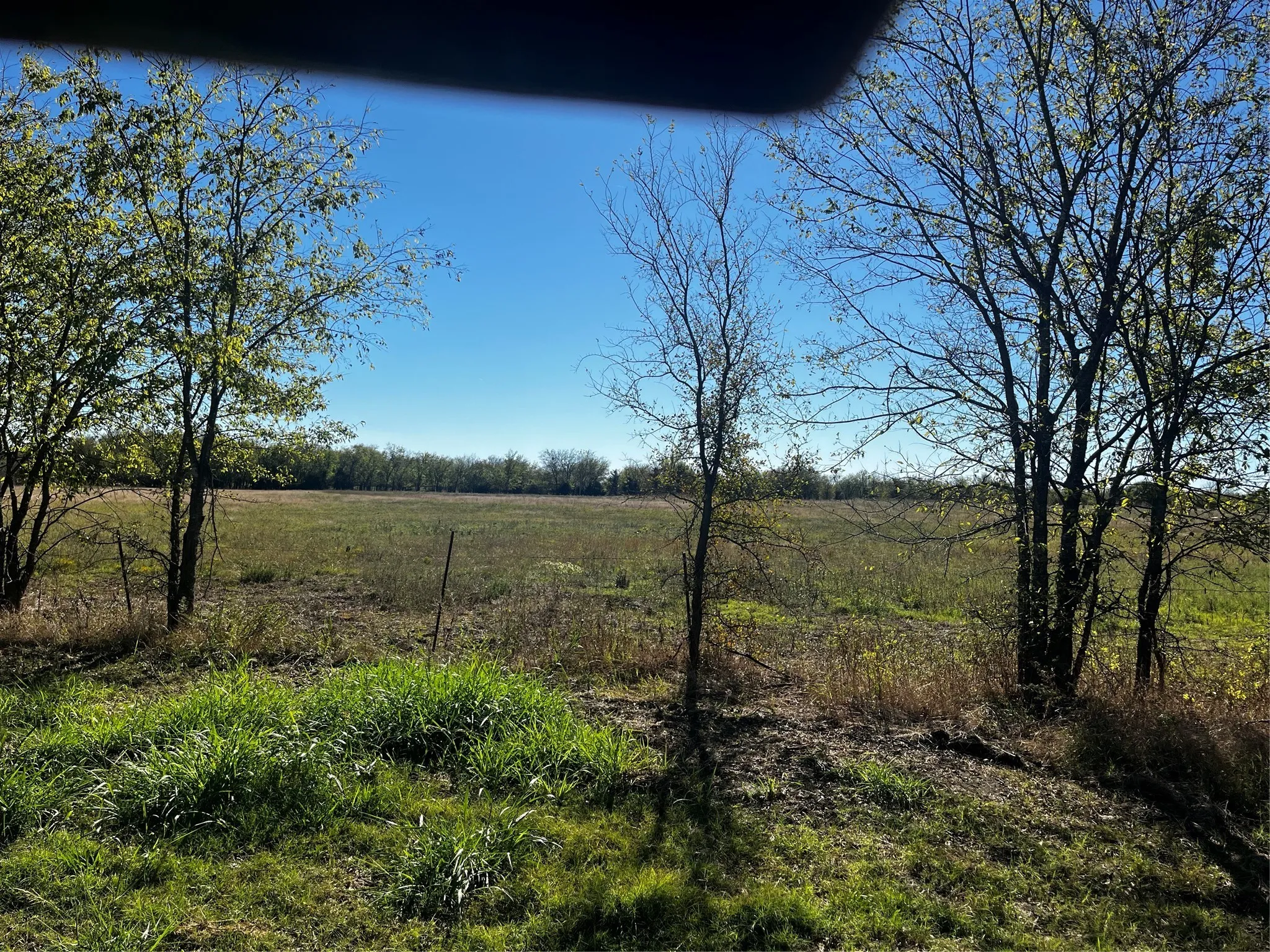 Unimproved Land For Sale in Hunt County , 2920 County Road 4301, Greenville, Texas 75401, 0, 0, Garage spaces, 0 Sqft, built in 2001, mls#20772263, Real Estate Agent in Greenville, Homes For Sale in Hunt county, Homes For Sale in Greenville, Realtor in Greenville Texas, Real Estate Brokerage Independent Realty Texas, Luminita Cordes Realtor