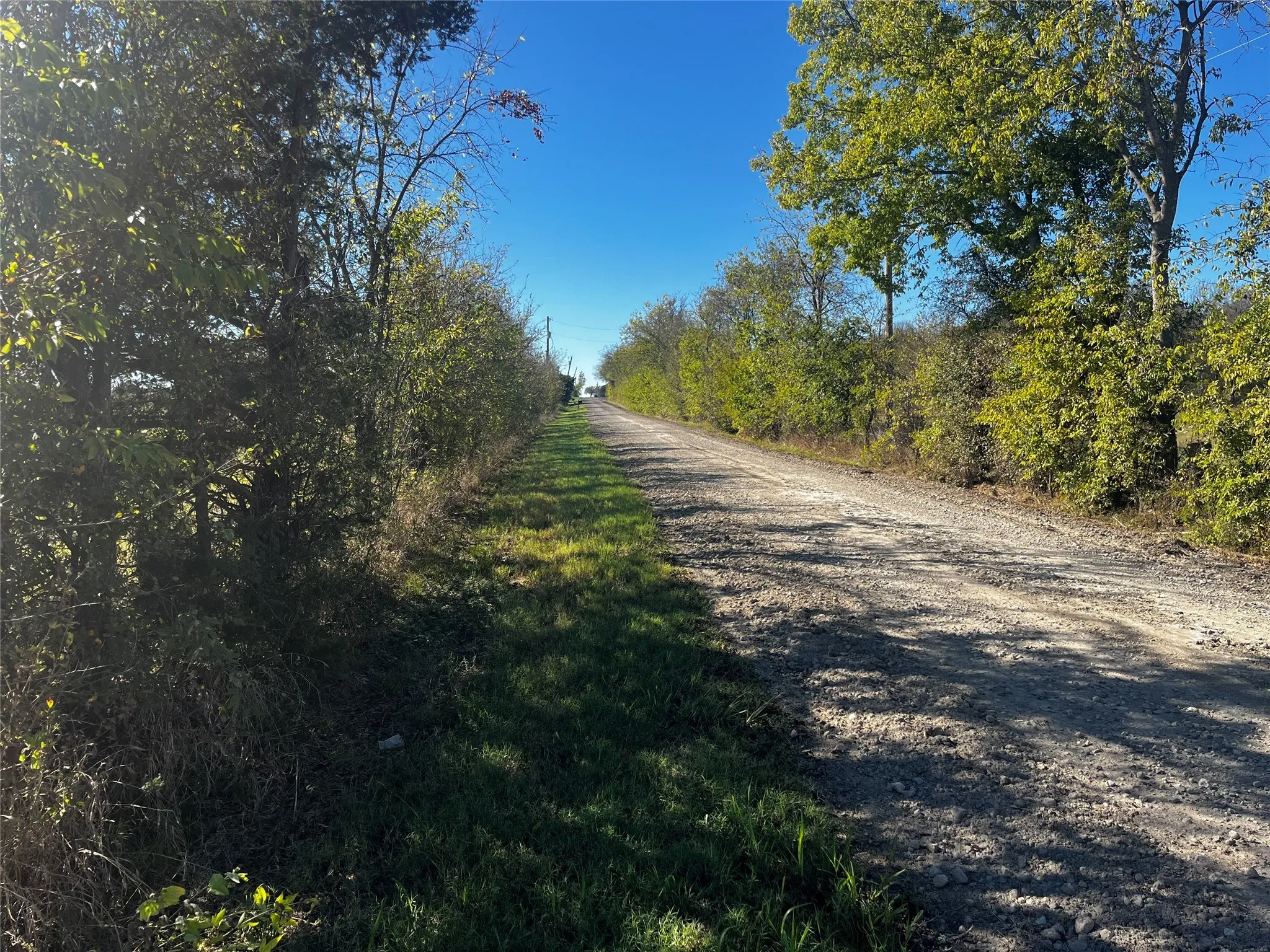 View of road