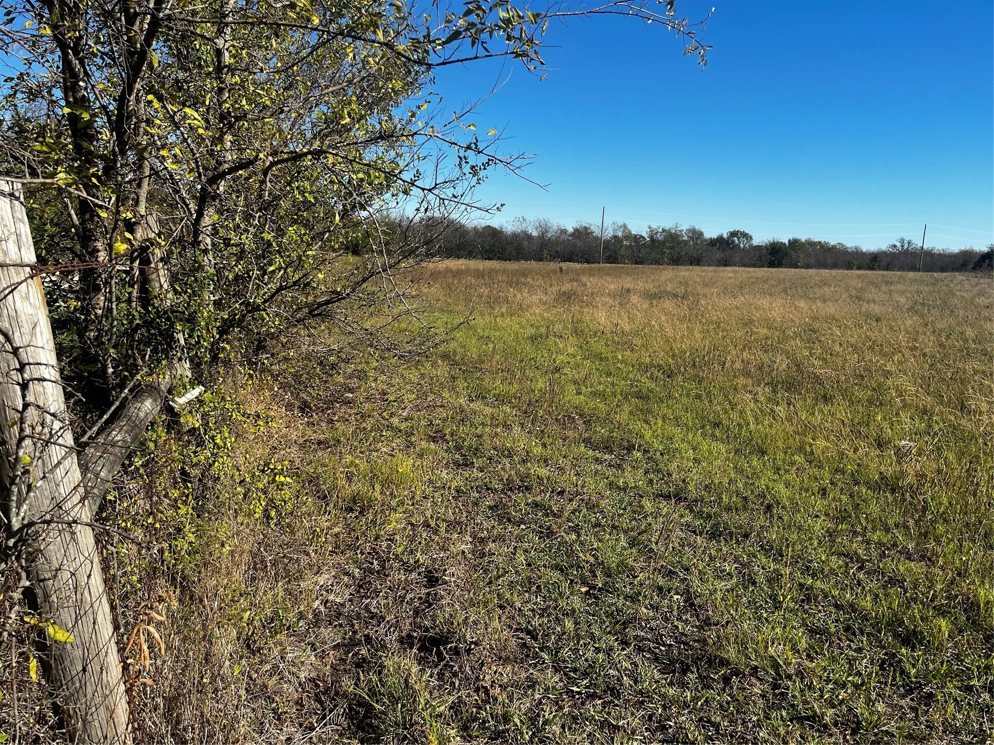 View of local wilderness with a rural view