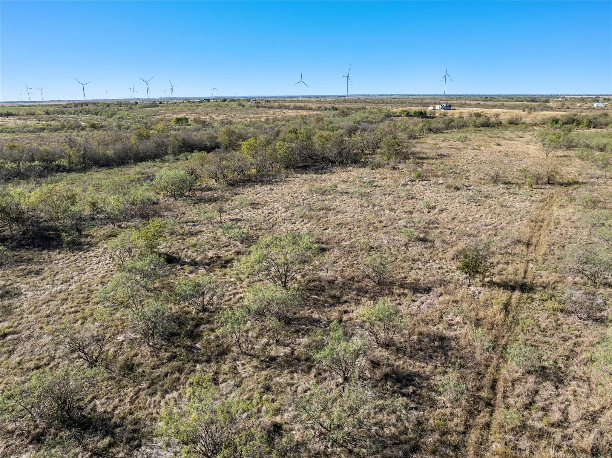 View of local wilderness featuring a rural view