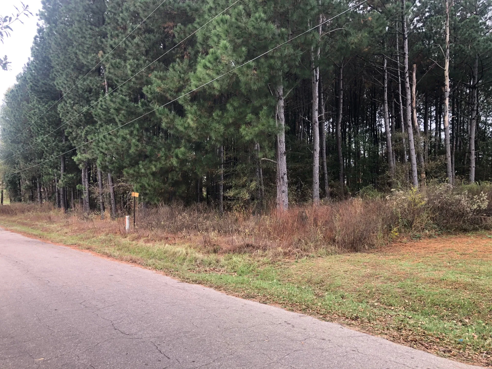 Unimproved Land For Sale in Camp County , TBD County Road 4130, Pittsburg, Texas 75686, 0, 0, Garage spaces, 0 Sqft, built in 0, Price $38,000, mls#20775096, Real Estate Agent in Pittsburg, Homes For Sale in Camp county, Homes For Sale in Pittsburg, Realtor in Pittsburg Texas, Real Estate Brokerage Independent Realty Texas, Luminita Cordes Realtor