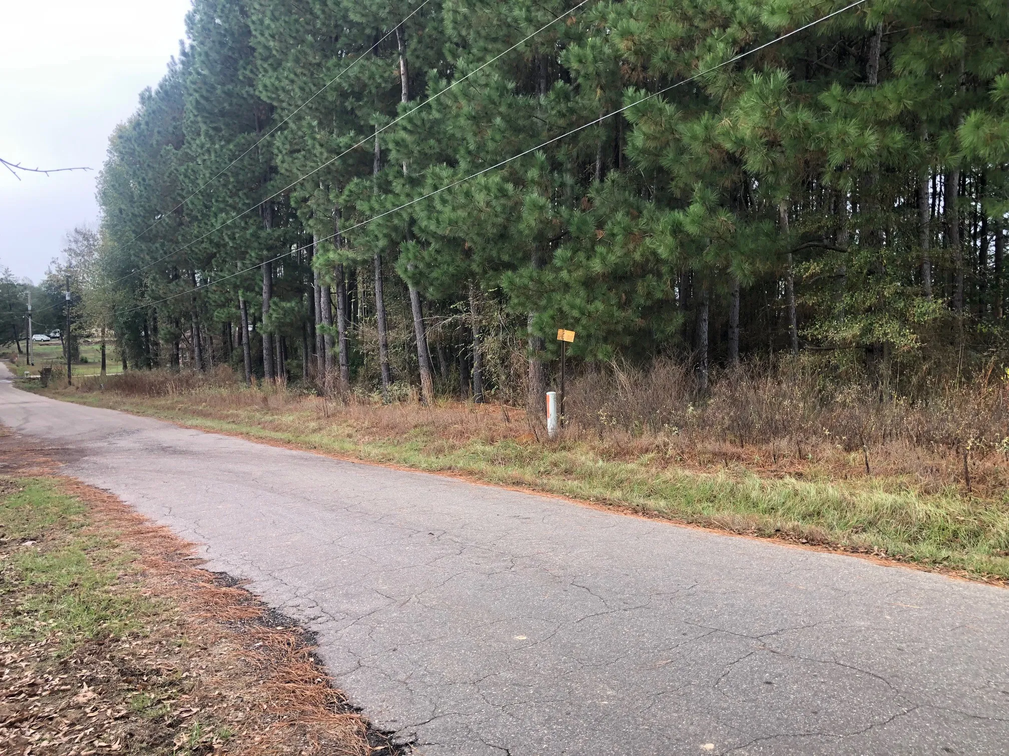 View of road