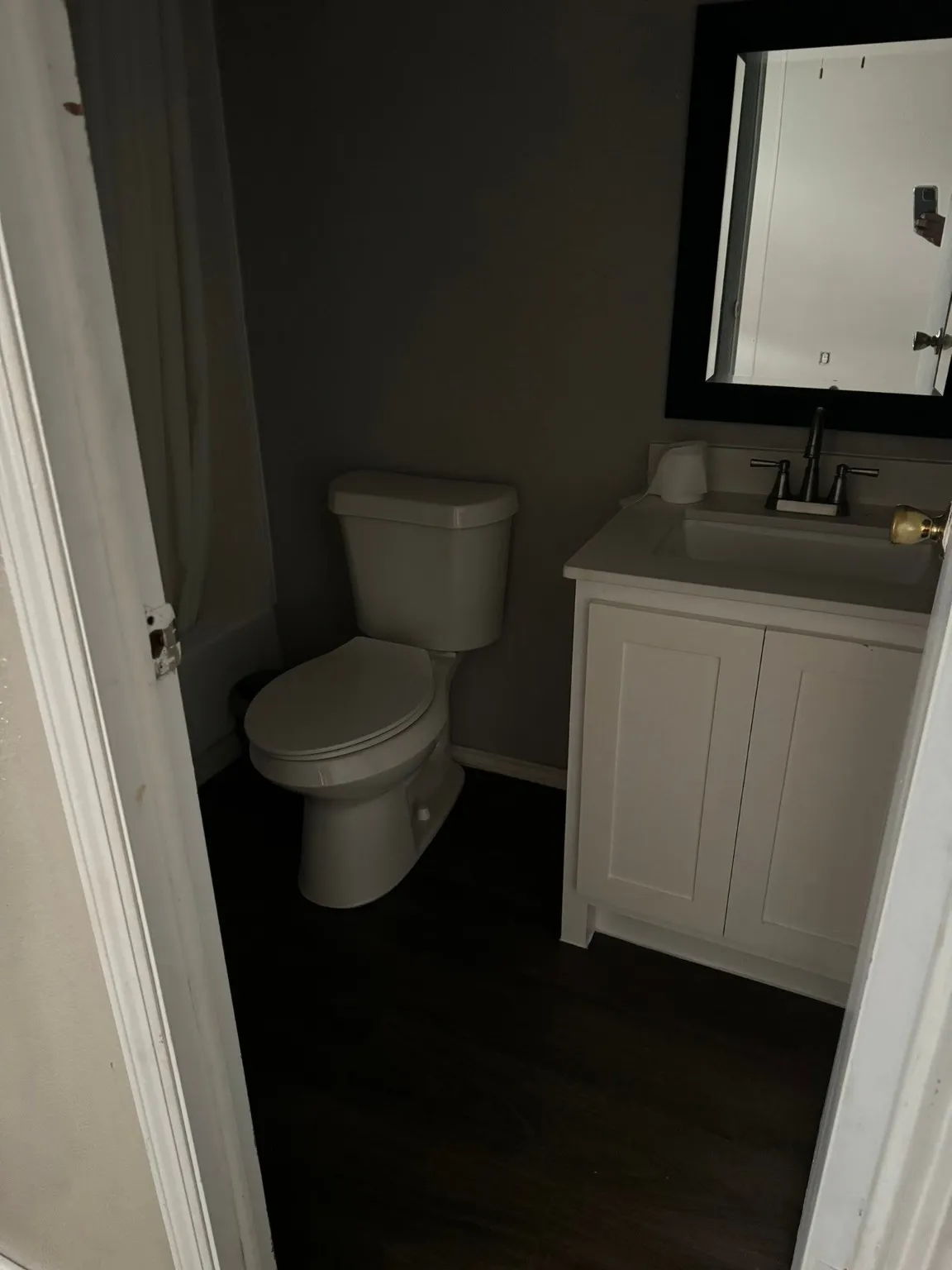 Bathroom with vanity, hardwood / wood-style flooring, and toilet