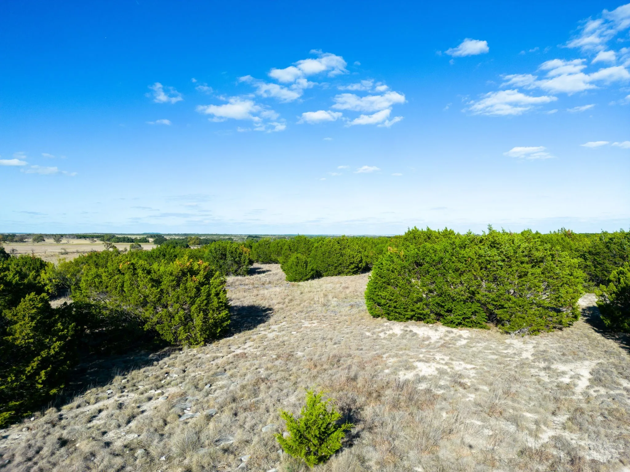 Unimproved Land For Sale in Lampasas County , tbd Cherry Laurel Lane, Lampasas, Texas 76550, 0, 0, Garage spaces, 0 Sqft, built in 0, Price $226,000, mls#20771011, Real Estate Agent in Lampasas, Homes For Sale in Lampasas county, Homes For Sale in Lampasas, Realtor in Lampasas Texas, Real Estate Brokerage Independent Realty Texas, Luminita Cordes Realtor