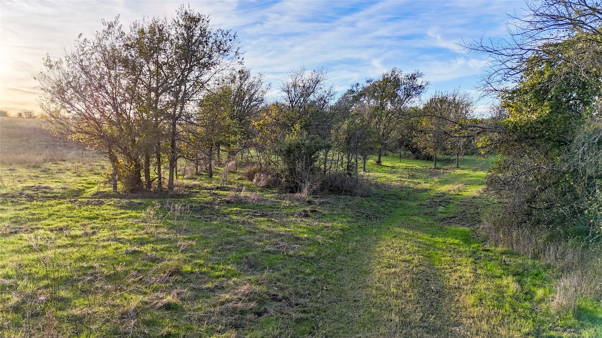 View of local wilderness