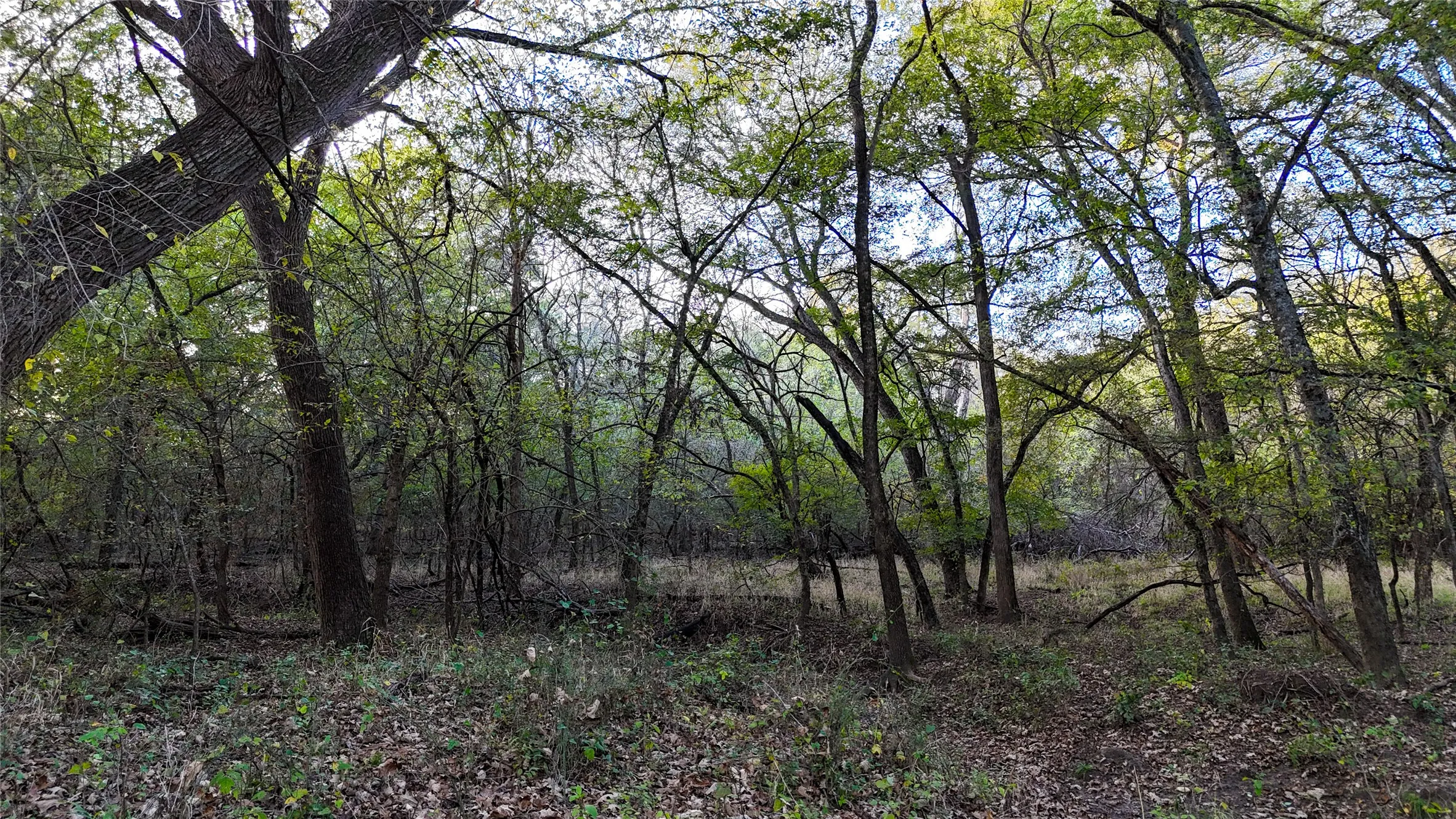 View of landscape