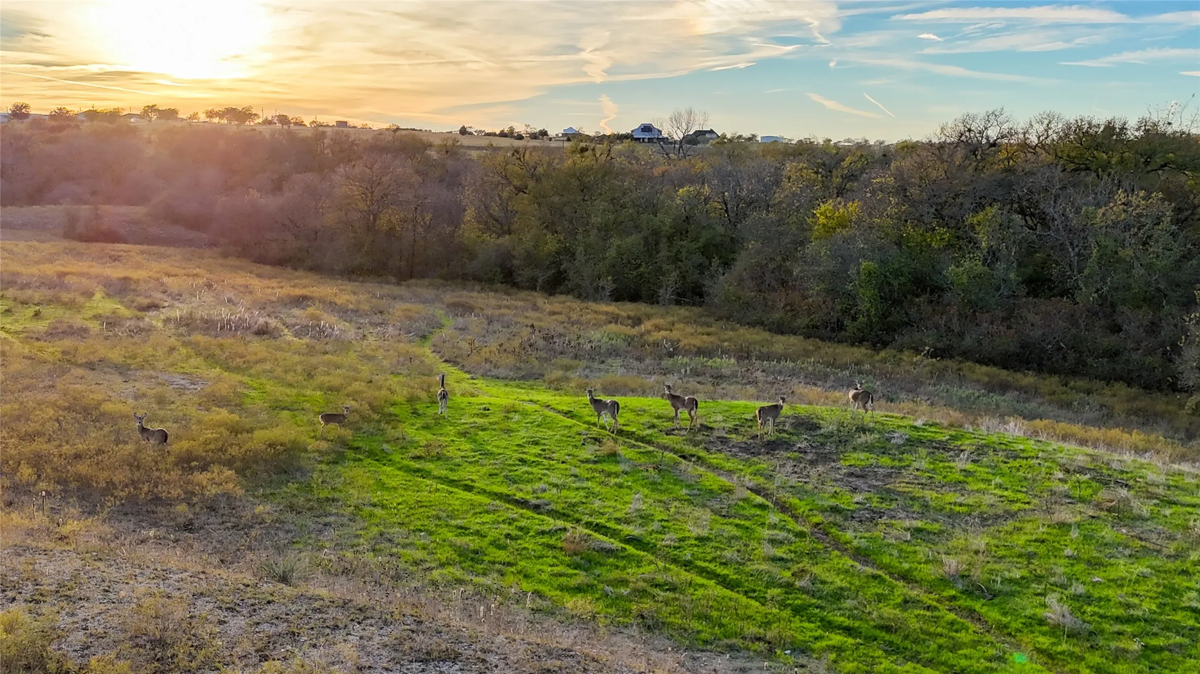Nature at dusk with a rural view
