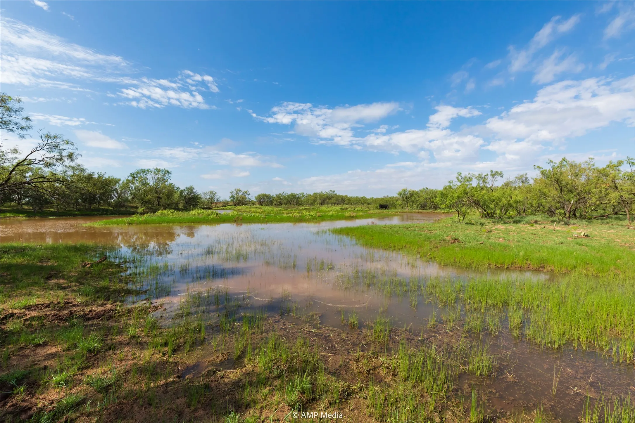 Ranch For Sale in Mitchell County , TBD CR 252, Colorado City, Texas 79512, 0, 0, Garage spaces, 0 Sqft, built in 0, Price $2,400,000, mls#20780398, Real Estate Agent in Colorado City, Homes For Sale in Mitchell county, Homes For Sale in Colorado City, Realtor in Colorado City Texas, Real Estate Brokerage Independent Realty Texas, Luminita Cordes Realtor