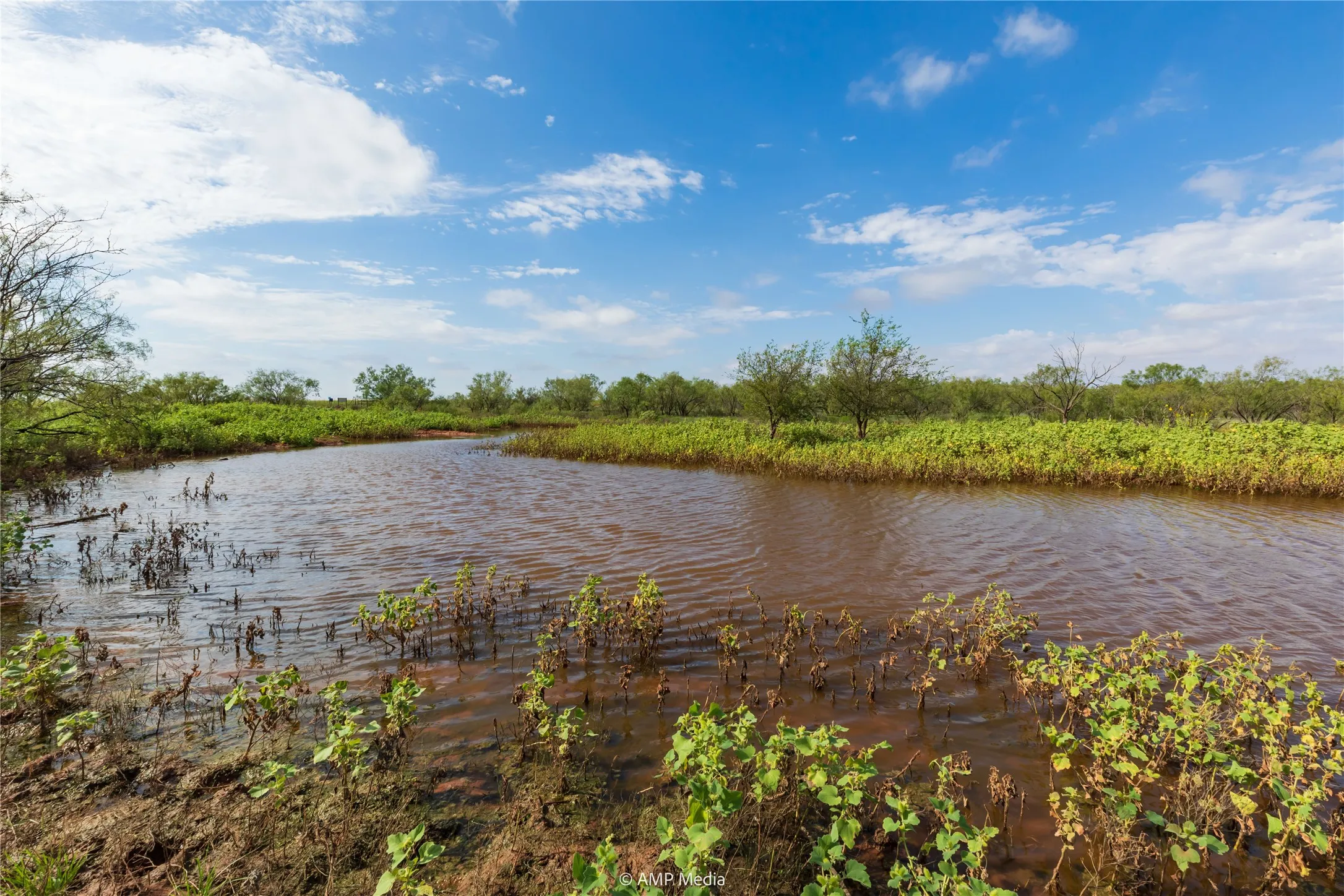 Ranch For Sale in Mitchell County , TBD CR 252, Colorado City, Texas 79512, 0, 0, Garage spaces, 0 Sqft, built in 0, Price $2,400,000, mls#20780398, Real Estate Agent in Colorado City, Homes For Sale in Mitchell county, Homes For Sale in Colorado City, Realtor in Colorado City Texas, Real Estate Brokerage Independent Realty Texas, Luminita Cordes Realtor