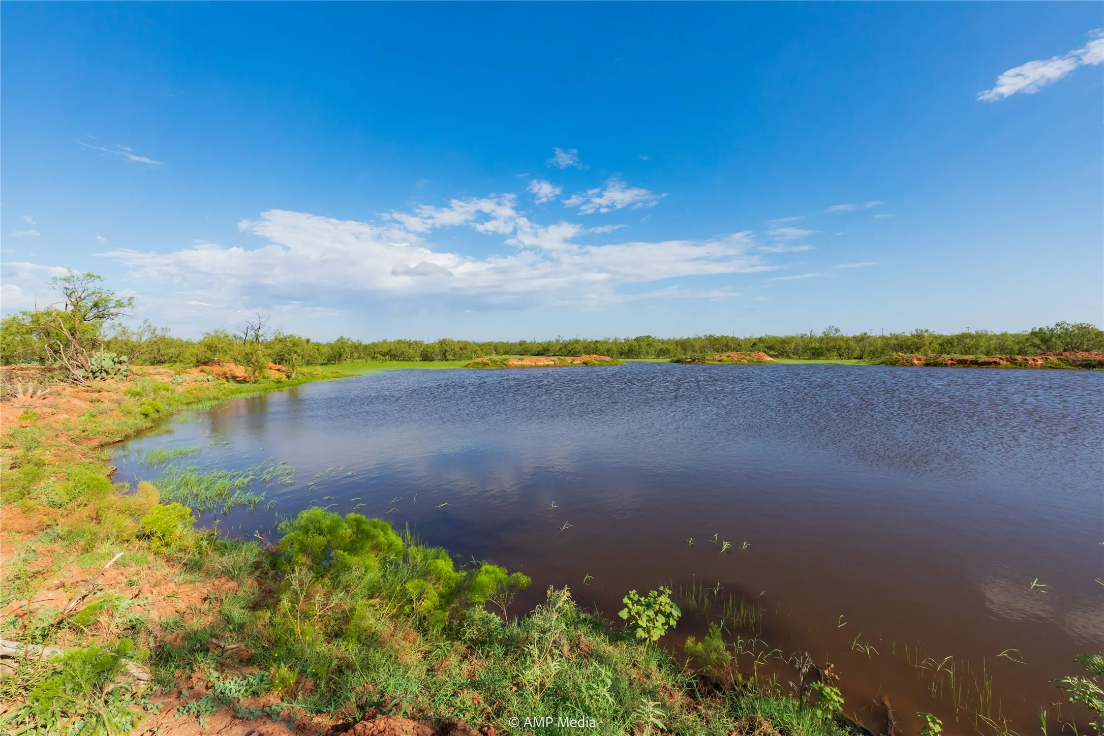 Ranch For Sale in Mitchell County , TBD CR 252, Colorado City, Texas 79512, 0, 0, Garage spaces, 0 Sqft, built in 0, Price $2,400,000, mls#20780398, Real Estate Agent in Colorado City, Homes For Sale in Mitchell county, Homes For Sale in Colorado City, Realtor in Colorado City Texas, Real Estate Brokerage Independent Realty Texas, Luminita Cordes Realtor