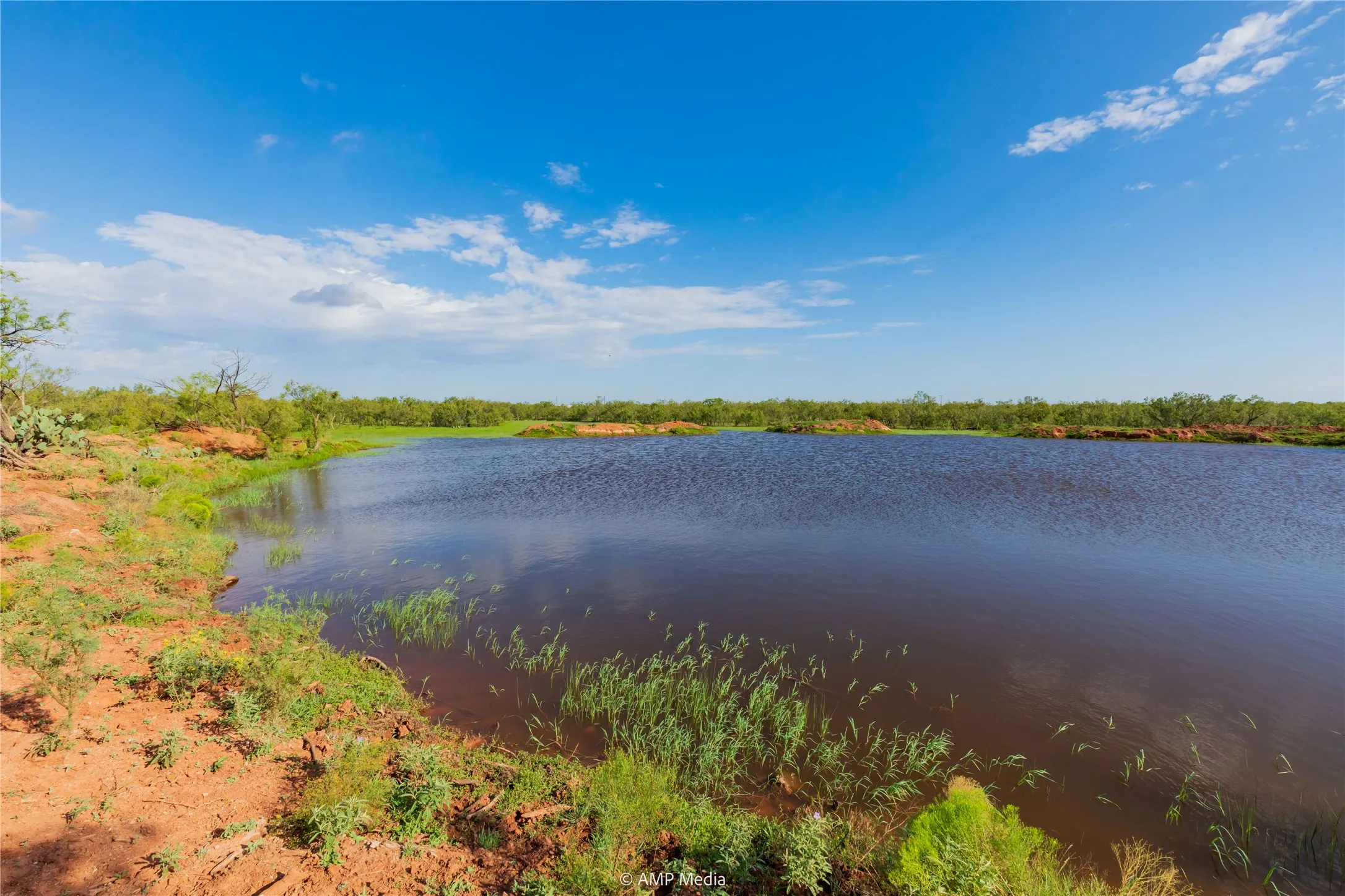 Ranch For Sale in Mitchell County , TBD CR 252, Colorado City, Texas 79512, 0, 0, Garage spaces, 0 Sqft, built in 0, Price $2,400,000, mls#20780398, Real Estate Agent in Colorado City, Homes For Sale in Mitchell county, Homes For Sale in Colorado City, Realtor in Colorado City Texas, Real Estate Brokerage Independent Realty Texas, Luminita Cordes Realtor