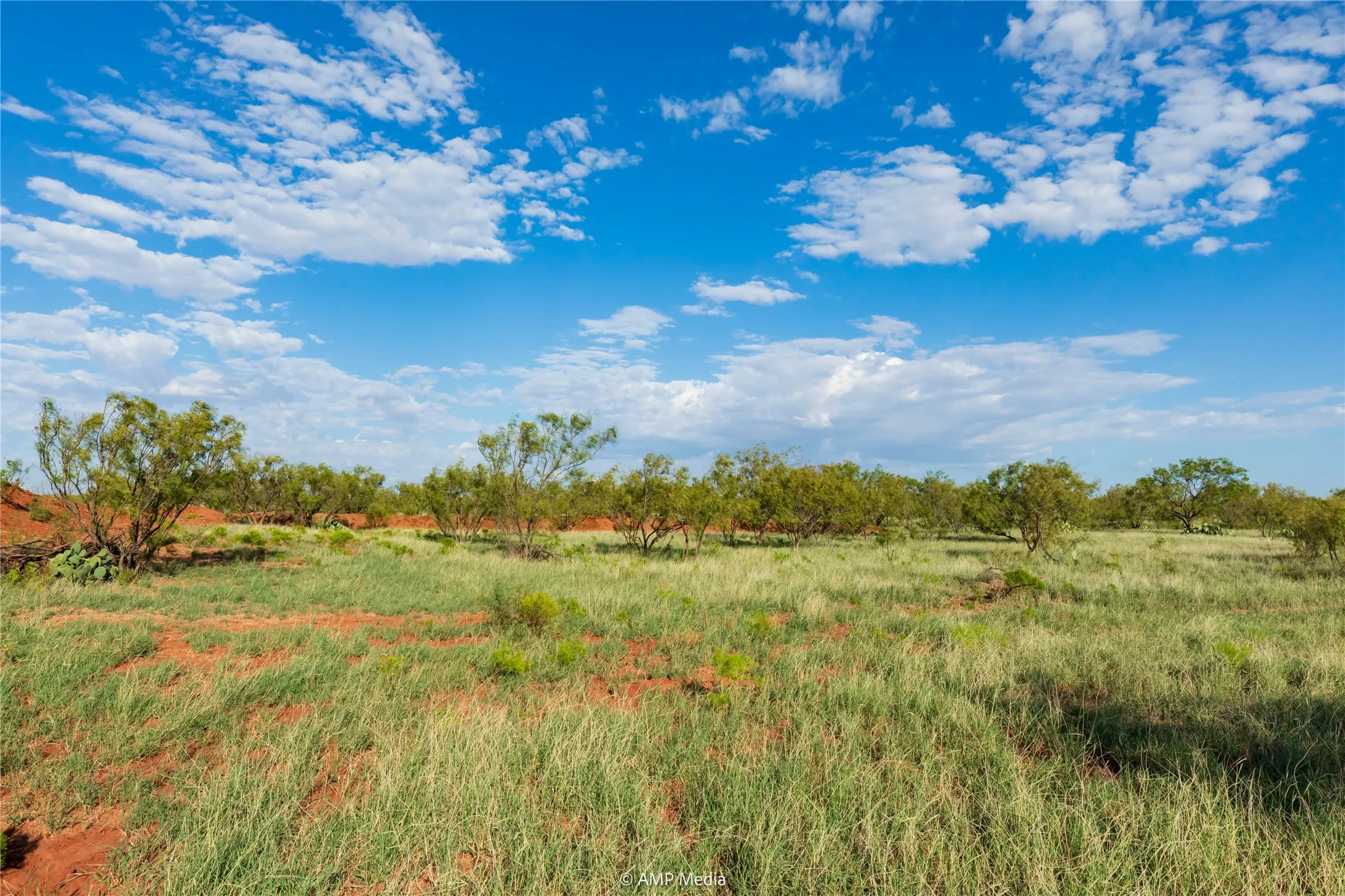 Ranch For Sale in Mitchell County , TBD CR 252, Colorado City, Texas 79512, 0, 0, Garage spaces, 0 Sqft, built in 0, Price $2,400,000, mls#20780398, Real Estate Agent in Colorado City, Homes For Sale in Mitchell county, Homes For Sale in Colorado City, Realtor in Colorado City Texas, Real Estate Brokerage Independent Realty Texas, Luminita Cordes Realtor