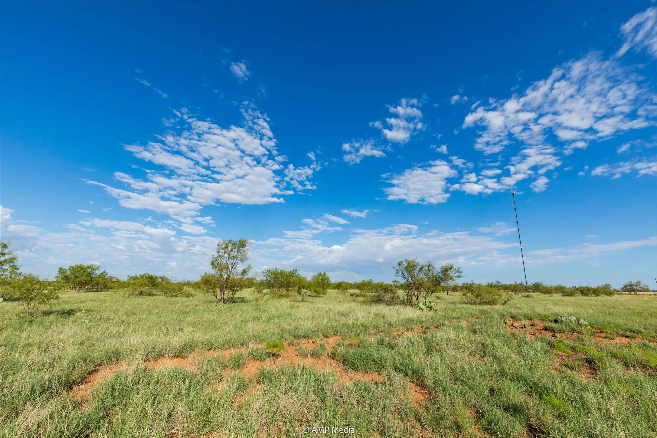 Ranch For Sale in Mitchell County , TBD CR 252, Colorado City, Texas 79512, 0, 0, Garage spaces, 0 Sqft, built in 0, Price $2,400,000, mls#20780398, Real Estate Agent in Colorado City, Homes For Sale in Mitchell county, Homes For Sale in Colorado City, Realtor in Colorado City Texas, Real Estate Brokerage Independent Realty Texas, Luminita Cordes Realtor