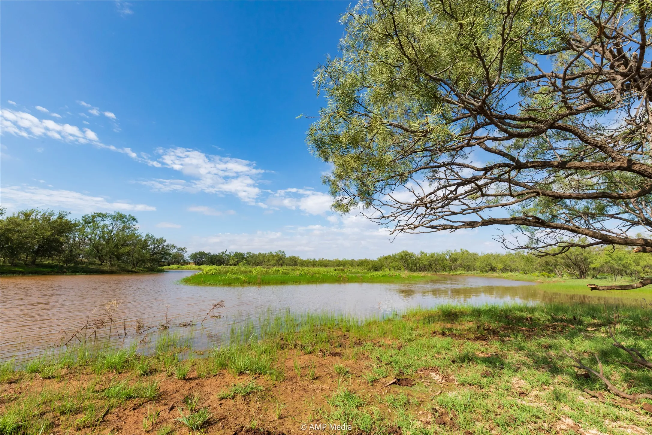 Ranch For Sale in Mitchell County , TBD CR 252, Colorado City, Texas 79512, 0, 0, Garage spaces, 0 Sqft, built in 0, Price $2,400,000, mls#20780398, Real Estate Agent in Colorado City, Homes For Sale in Mitchell county, Homes For Sale in Colorado City, Realtor in Colorado City Texas, Real Estate Brokerage Independent Realty Texas, Luminita Cordes Realtor