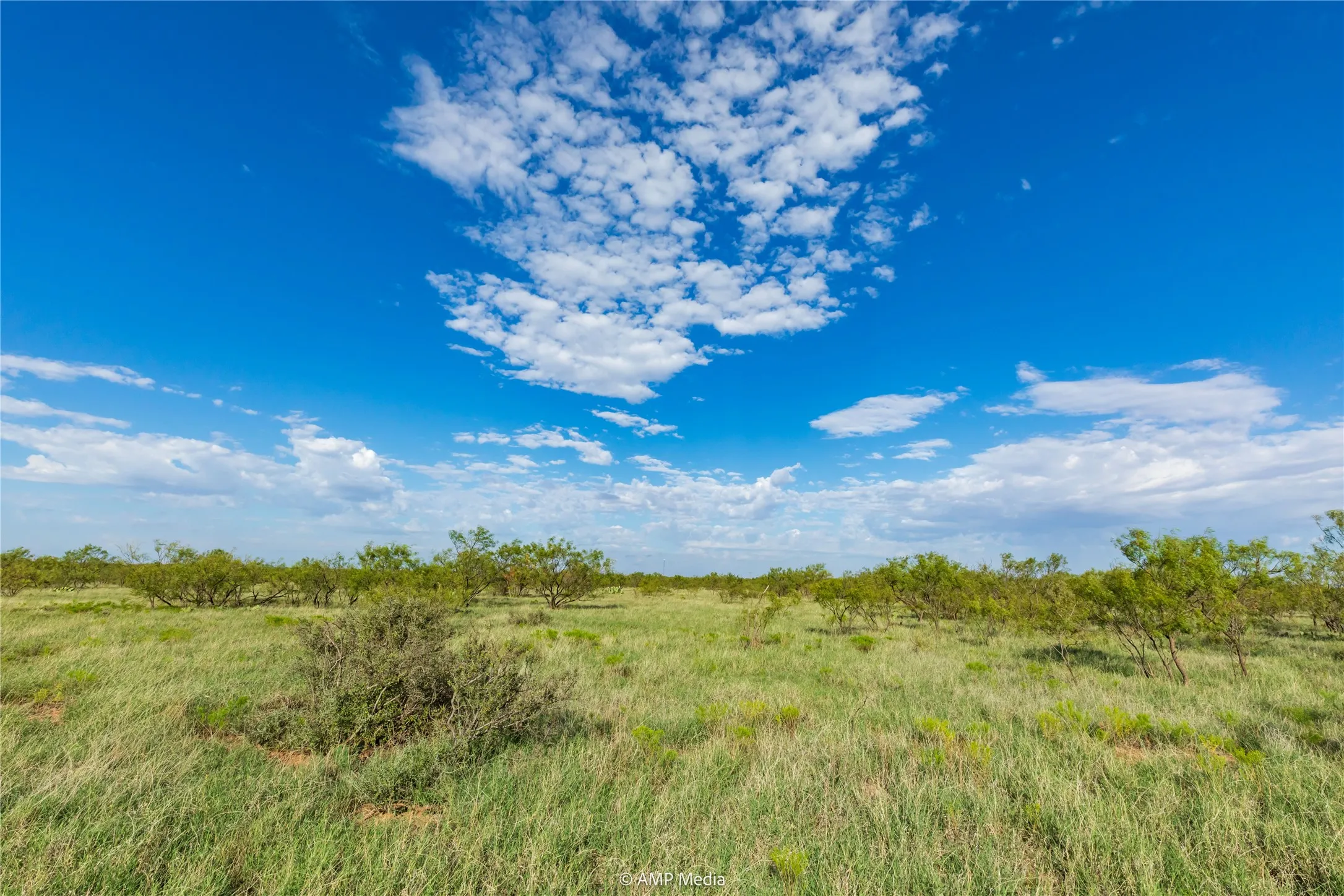 Ranch For Sale in Mitchell County , TBD CR 252, Colorado City, Texas 79512, 0, 0, Garage spaces, 0 Sqft, built in 0, Price $2,400,000, mls#20780398, Real Estate Agent in Colorado City, Homes For Sale in Mitchell county, Homes For Sale in Colorado City, Realtor in Colorado City Texas, Real Estate Brokerage Independent Realty Texas, Luminita Cordes Realtor