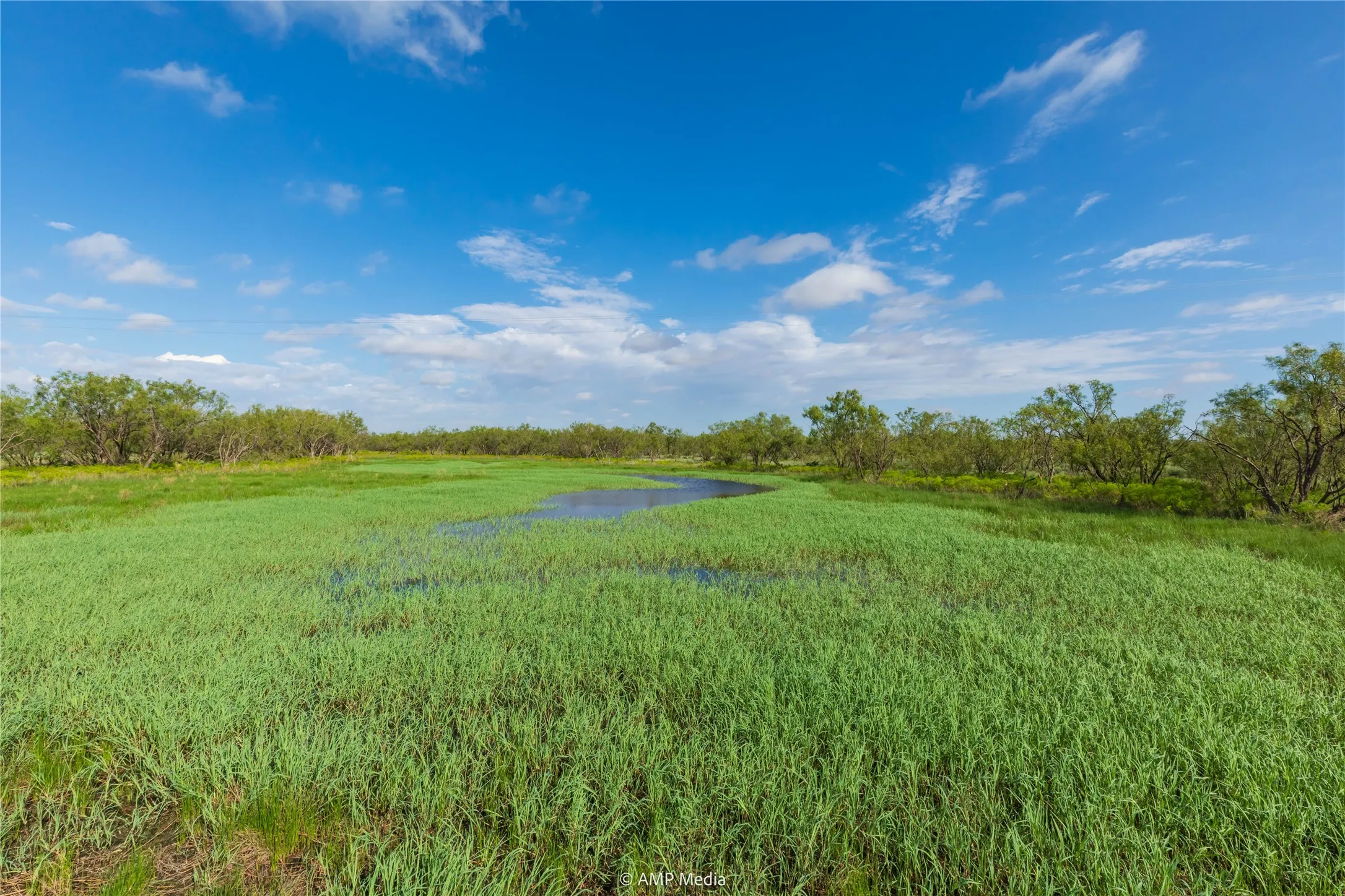 Ranch For Sale in Mitchell County , TBD CR 252, Colorado City, Texas 79512, 0, 0, Garage spaces, 0 Sqft, built in 0, Price $2,400,000, mls#20780398, Real Estate Agent in Colorado City, Homes For Sale in Mitchell county, Homes For Sale in Colorado City, Realtor in Colorado City Texas, Real Estate Brokerage Independent Realty Texas, Luminita Cordes Realtor