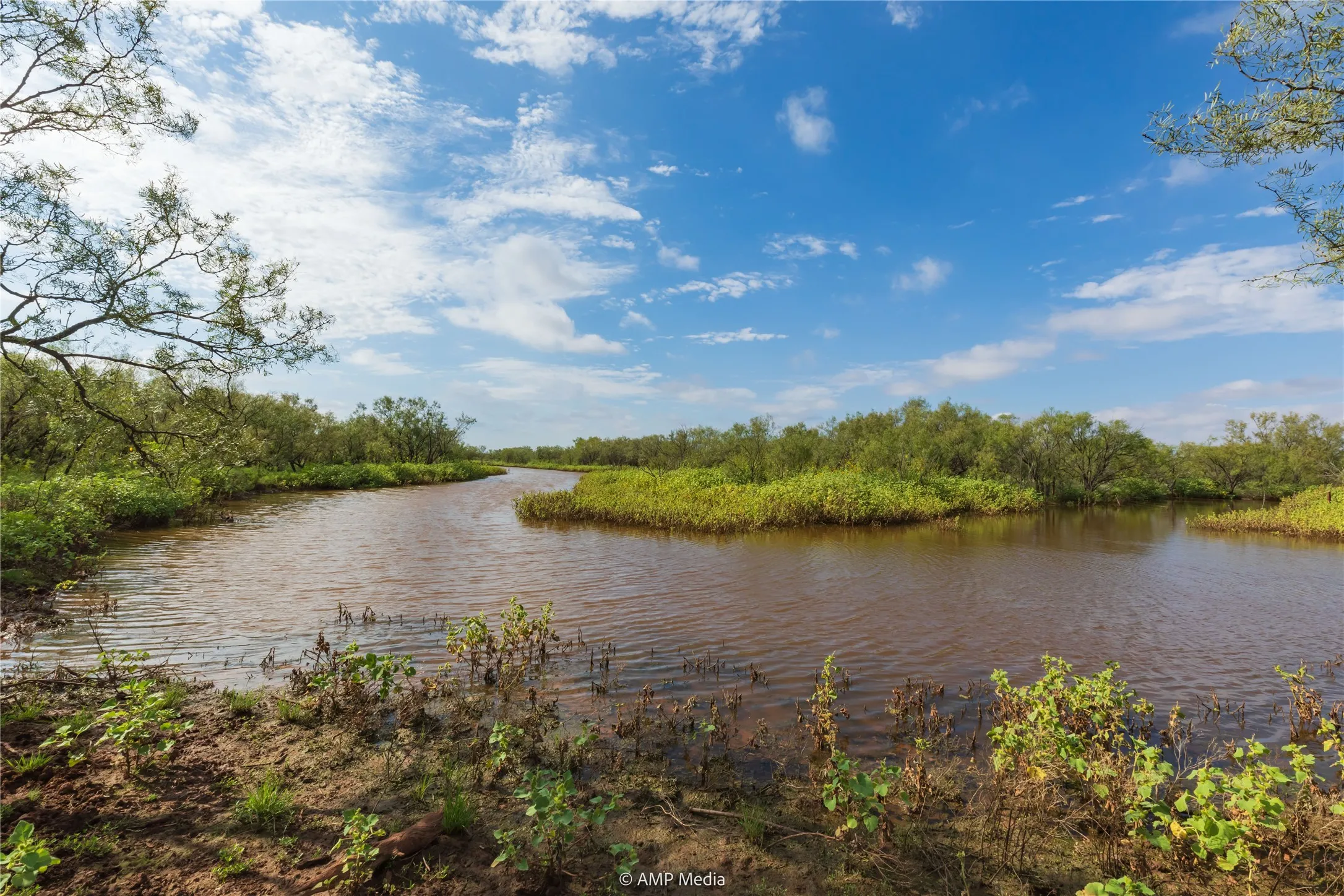Ranch For Sale in Mitchell County , TBD CR 252, Colorado City, Texas 79512, 0, 0, Garage spaces, 0 Sqft, built in 0, Price $2,400,000, mls#20780398, Real Estate Agent in Colorado City, Homes For Sale in Mitchell county, Homes For Sale in Colorado City, Realtor in Colorado City Texas, Real Estate Brokerage Independent Realty Texas, Luminita Cordes Realtor