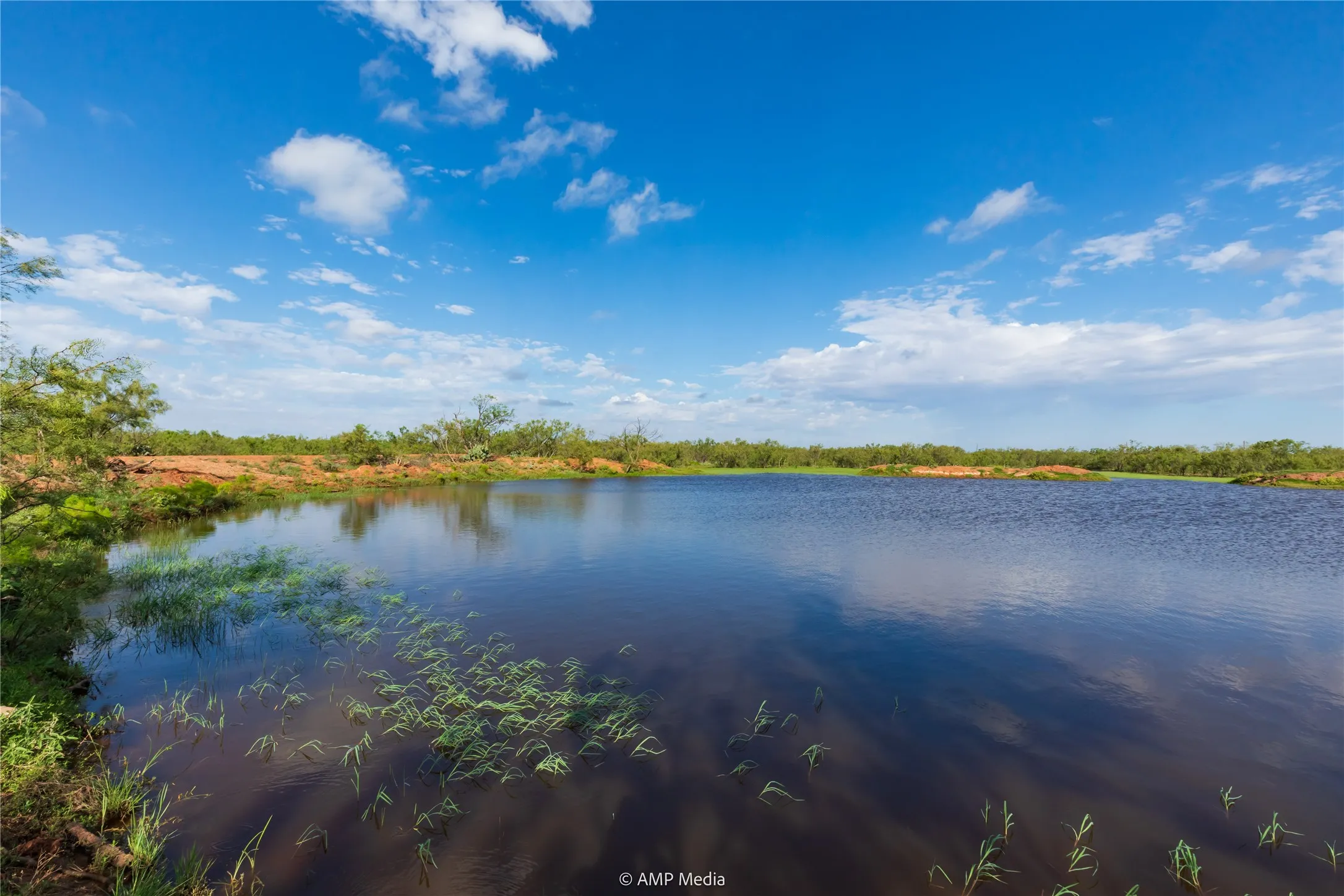 Ranch For Sale in Mitchell County , TBD CR 252, Colorado City, Texas 79512, 0, 0, Garage spaces, 0 Sqft, built in 0, Price $2,400,000, mls#20780398, Real Estate Agent in Colorado City, Homes For Sale in Mitchell county, Homes For Sale in Colorado City, Realtor in Colorado City Texas, Real Estate Brokerage Independent Realty Texas, Luminita Cordes Realtor