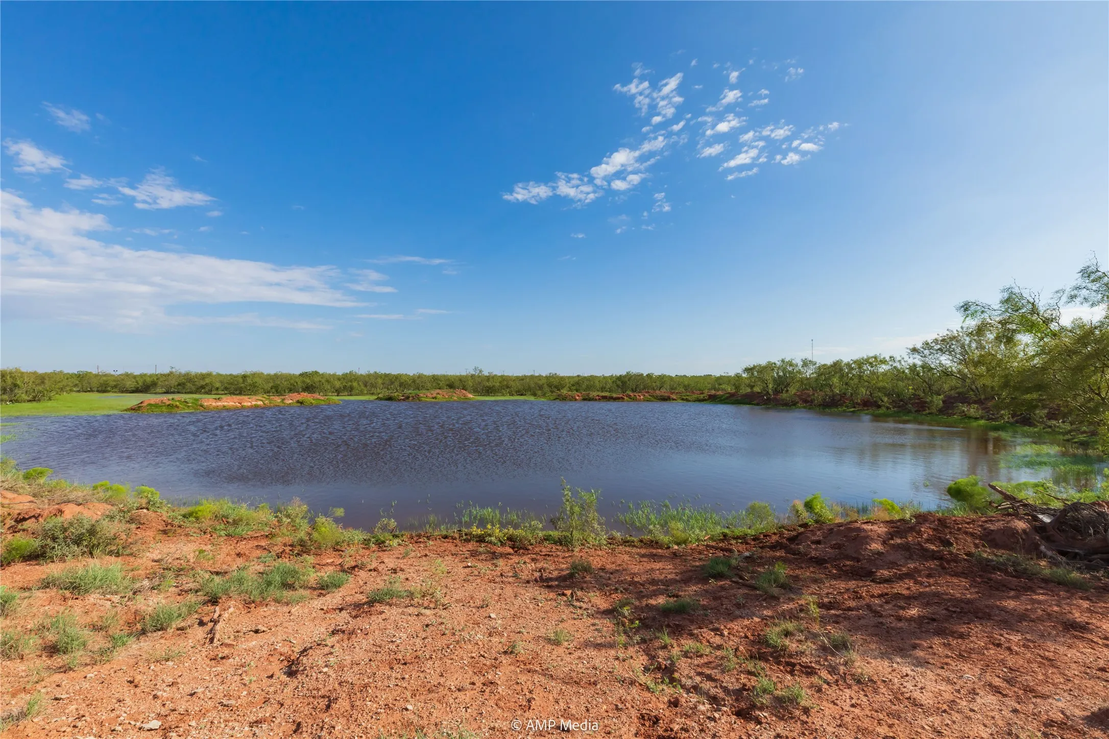 Ranch For Sale in Mitchell County , TBD CR 252, Colorado City, Texas 79512, 0, 0, Garage spaces, 0 Sqft, built in 0, Price $2,400,000, mls#20780398, Real Estate Agent in Colorado City, Homes For Sale in Mitchell county, Homes For Sale in Colorado City, Realtor in Colorado City Texas, Real Estate Brokerage Independent Realty Texas, Luminita Cordes Realtor