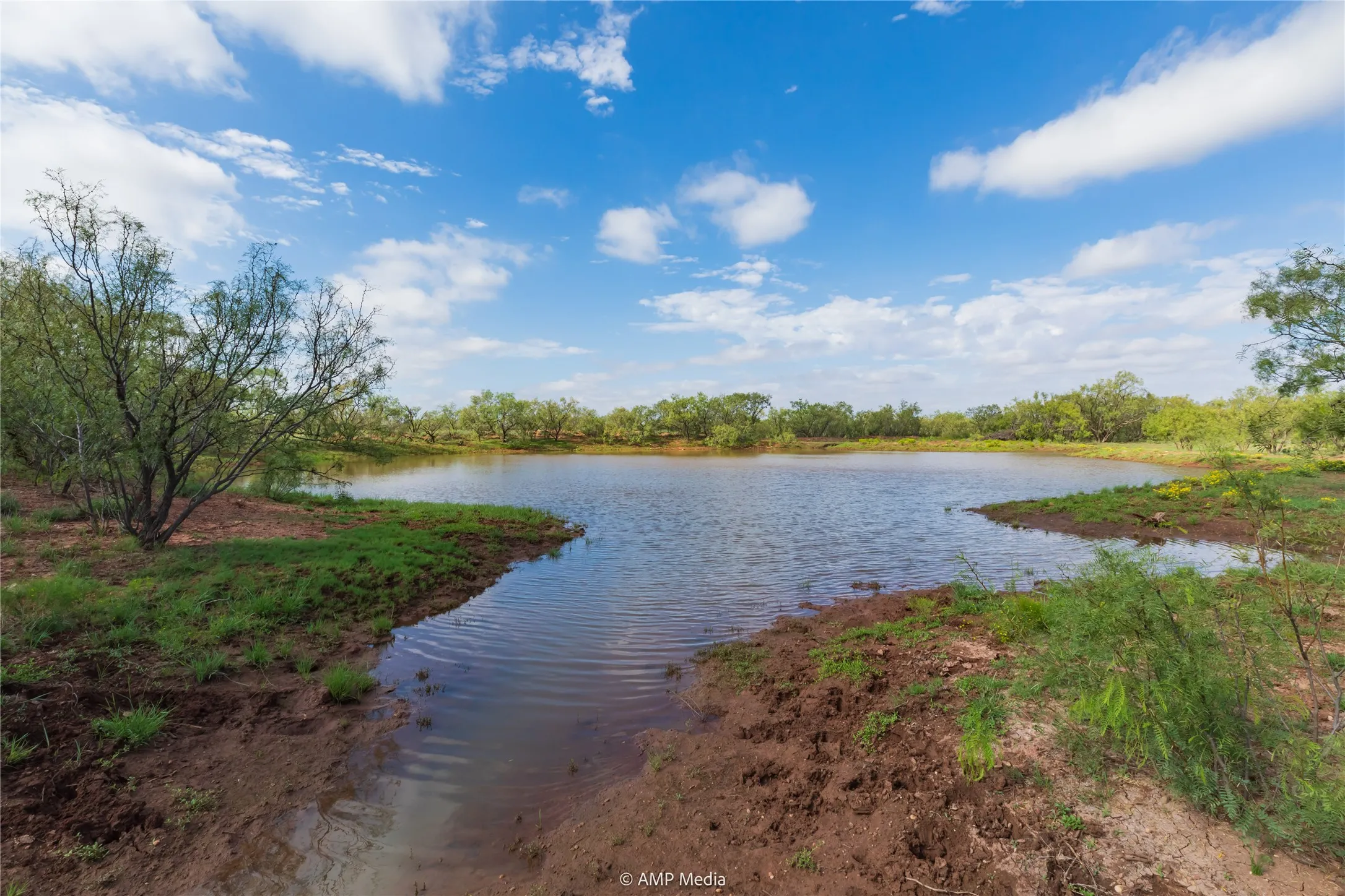Ranch For Sale in Mitchell County , TBD CR 252, Colorado City, Texas 79512, 0, 0, Garage spaces, 0 Sqft, built in 0, Price $2,400,000, mls#20780398, Real Estate Agent in Colorado City, Homes For Sale in Mitchell county, Homes For Sale in Colorado City, Realtor in Colorado City Texas, Real Estate Brokerage Independent Realty Texas, Luminita Cordes Realtor