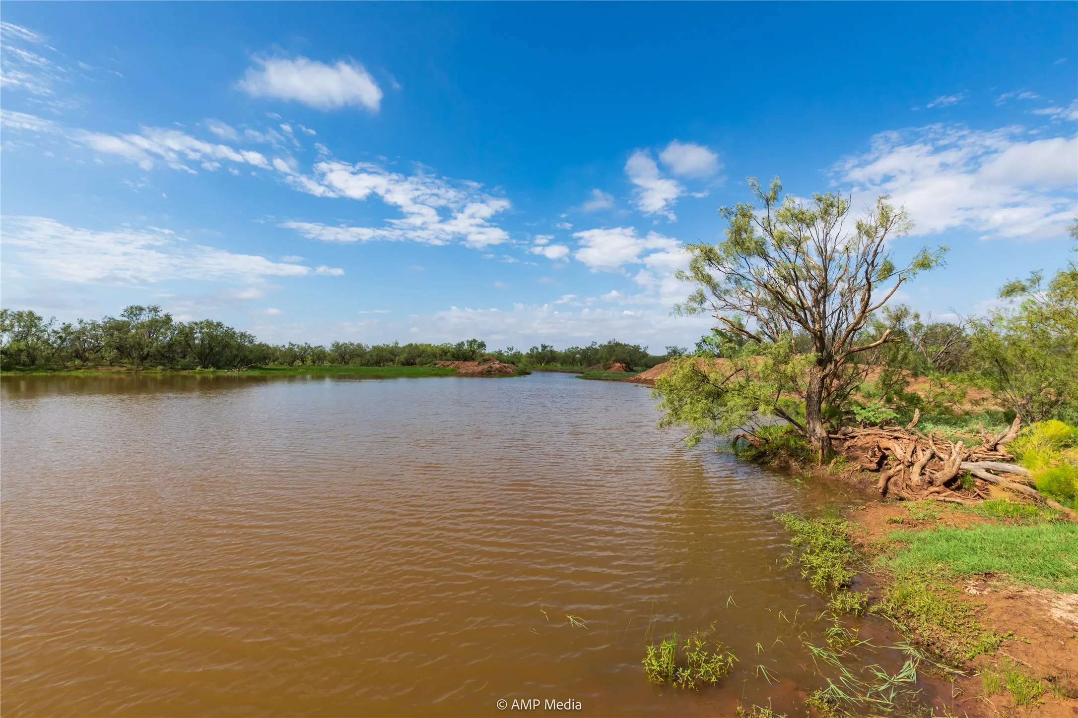 Ranch For Sale in Mitchell County , TBD CR 252, Colorado City, Texas 79512, 0, 0, Garage spaces, 0 Sqft, built in 0, Price $2,400,000, mls#20780398, Real Estate Agent in Colorado City, Homes For Sale in Mitchell county, Homes For Sale in Colorado City, Realtor in Colorado City Texas, Real Estate Brokerage Independent Realty Texas, Luminita Cordes Realtor