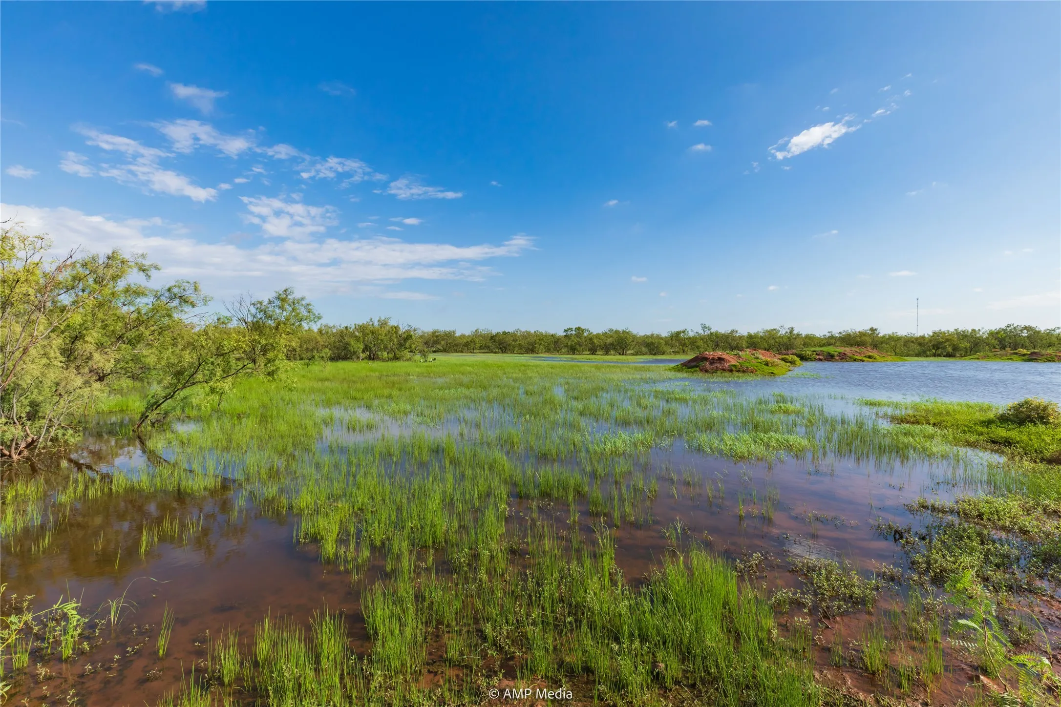 Ranch For Sale in Mitchell County , TBD CR 252, Colorado City, Texas 79512, 0, 0, Garage spaces, 0 Sqft, built in 0, Price $2,400,000, mls#20780398, Real Estate Agent in Colorado City, Homes For Sale in Mitchell county, Homes For Sale in Colorado City, Realtor in Colorado City Texas, Real Estate Brokerage Independent Realty Texas, Luminita Cordes Realtor