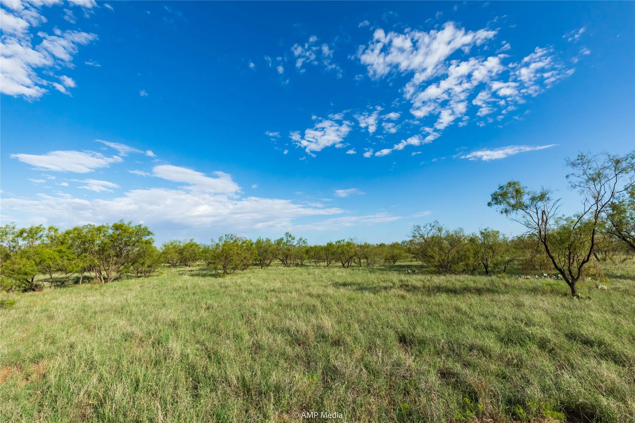 Ranch For Sale in Mitchell County , TBD CR 252, Colorado City, Texas 79512, 0, 0, Garage spaces, 0 Sqft, built in 0, Price $2,400,000, mls#20780398, Real Estate Agent in Colorado City, Homes For Sale in Mitchell county, Homes For Sale in Colorado City, Realtor in Colorado City Texas, Real Estate Brokerage Independent Realty Texas, Luminita Cordes Realtor