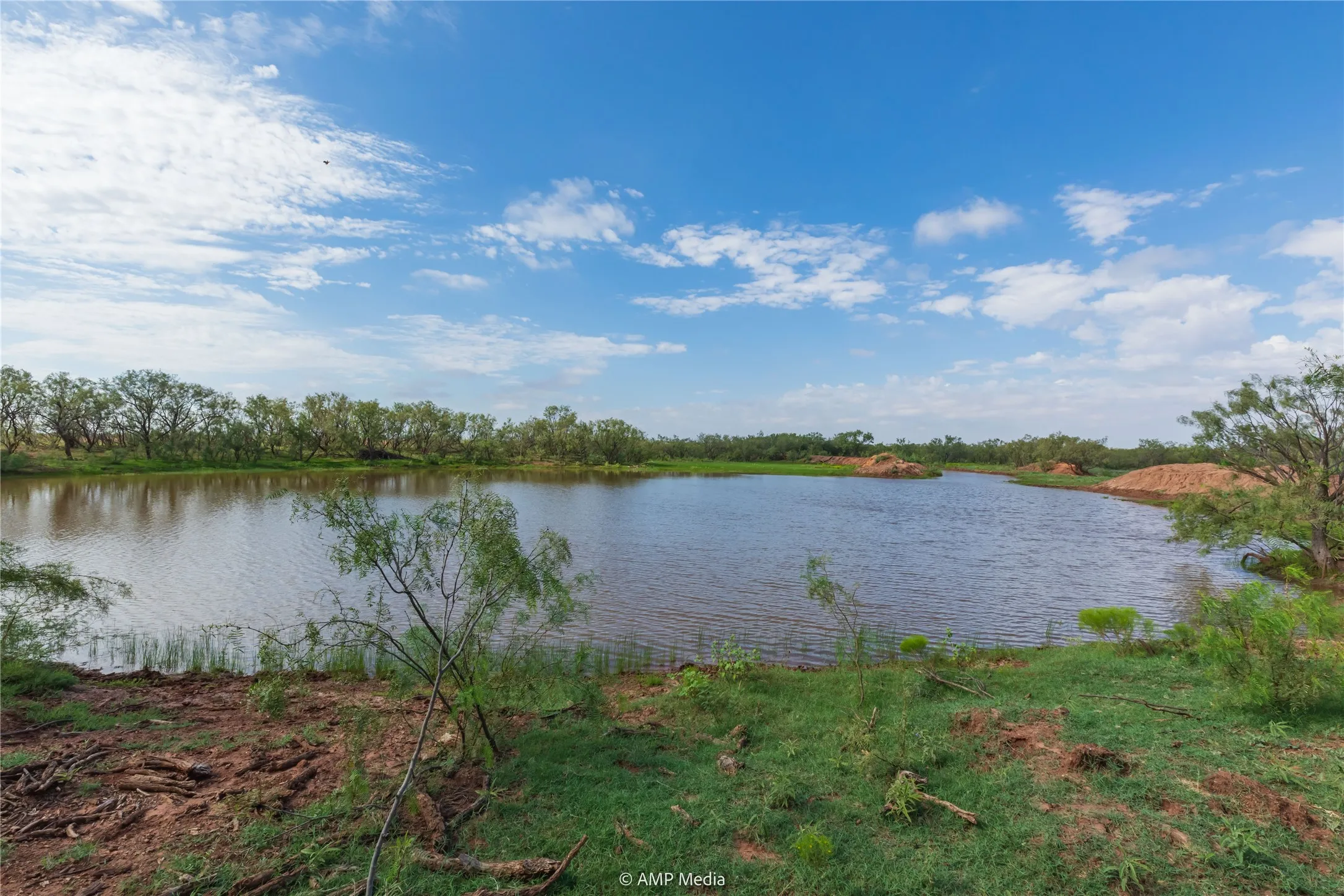 Ranch For Sale in Mitchell County , TBD CR 252, Colorado City, Texas 79512, 0, 0, Garage spaces, 0 Sqft, built in 0, Price $2,400,000, mls#20780398, Real Estate Agent in Colorado City, Homes For Sale in Mitchell county, Homes For Sale in Colorado City, Realtor in Colorado City Texas, Real Estate Brokerage Independent Realty Texas, Luminita Cordes Realtor