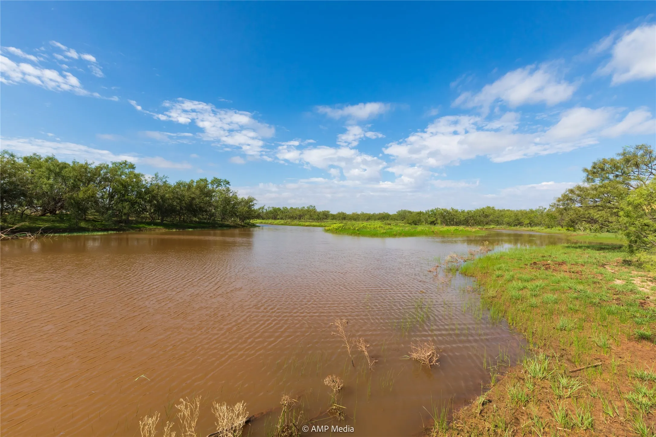 Ranch For Sale in Mitchell County , TBD CR 252, Colorado City, Texas 79512, 0, 0, Garage spaces, 0 Sqft, built in 0, Price $2,400,000, mls#20780398, Real Estate Agent in Colorado City, Homes For Sale in Mitchell county, Homes For Sale in Colorado City, Realtor in Colorado City Texas, Real Estate Brokerage Independent Realty Texas, Luminita Cordes Realtor