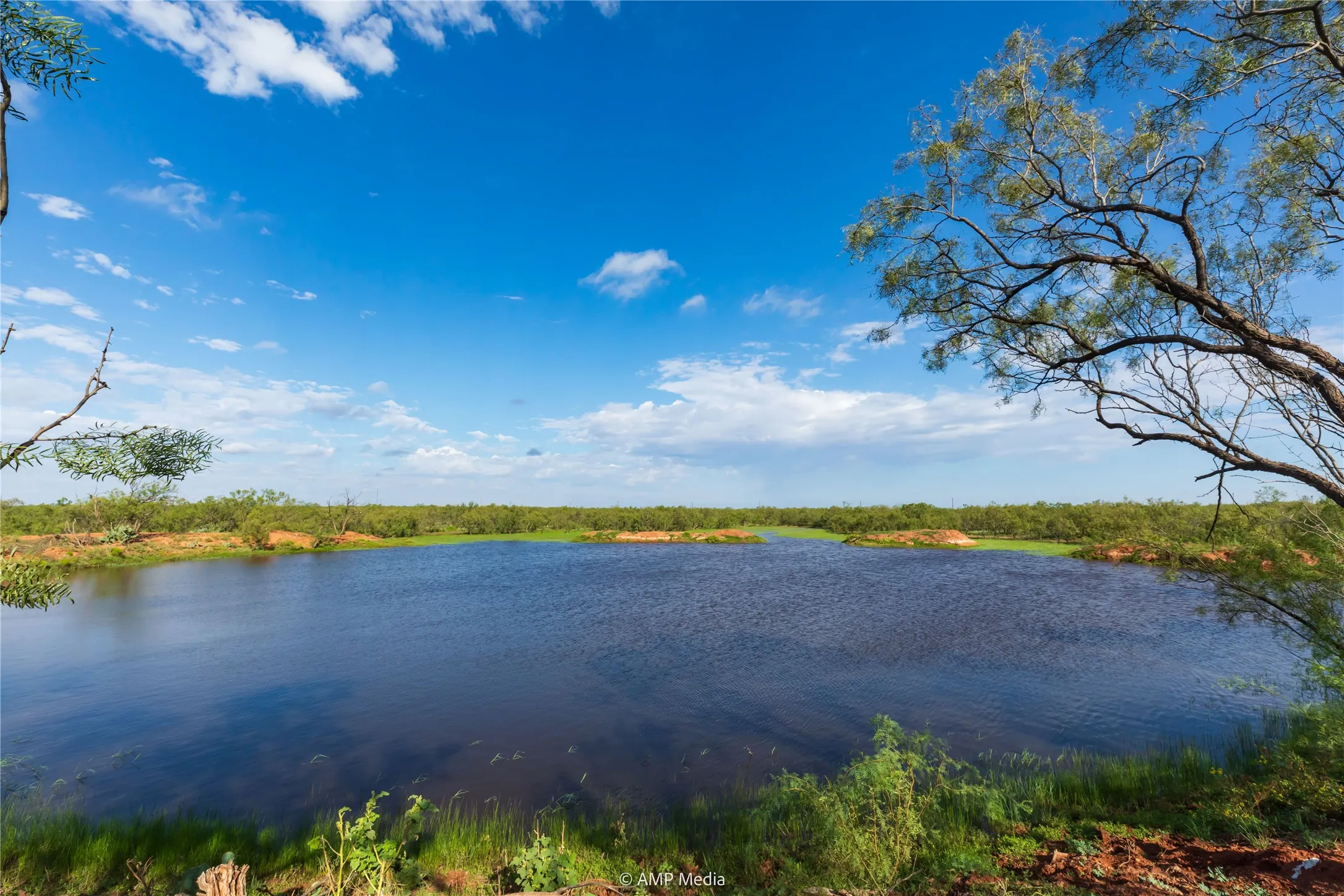 Ranch For Sale in Mitchell County , TBD CR 252, Colorado City, Texas 79512, 0, 0, Garage spaces, 0 Sqft, built in 0, Price $2,400,000, mls#20780398, Real Estate Agent in Colorado City, Homes For Sale in Mitchell county, Homes For Sale in Colorado City, Realtor in Colorado City Texas, Real Estate Brokerage Independent Realty Texas, Luminita Cordes Realtor