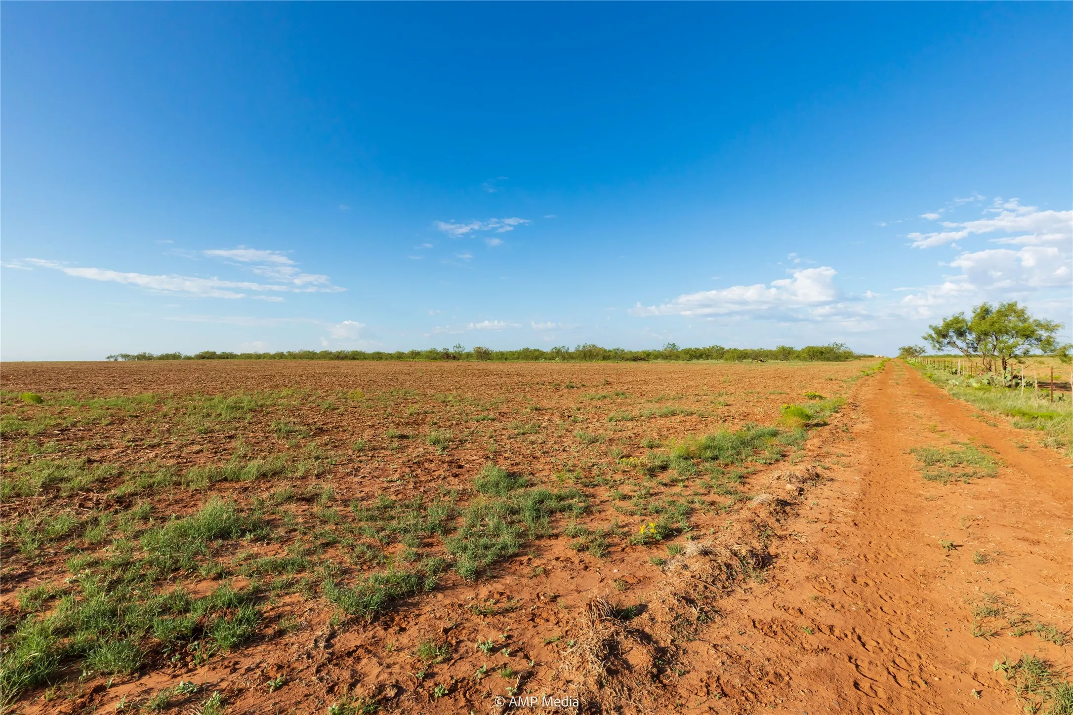 Ranch For Sale in Mitchell County , TBD CR 252, Colorado City, Texas 79512, 0, 0, Garage spaces, 0 Sqft, built in 0, Price $2,400,000, mls#20780398, Real Estate Agent in Colorado City, Homes For Sale in Mitchell county, Homes For Sale in Colorado City, Realtor in Colorado City Texas, Real Estate Brokerage Independent Realty Texas, Luminita Cordes Realtor