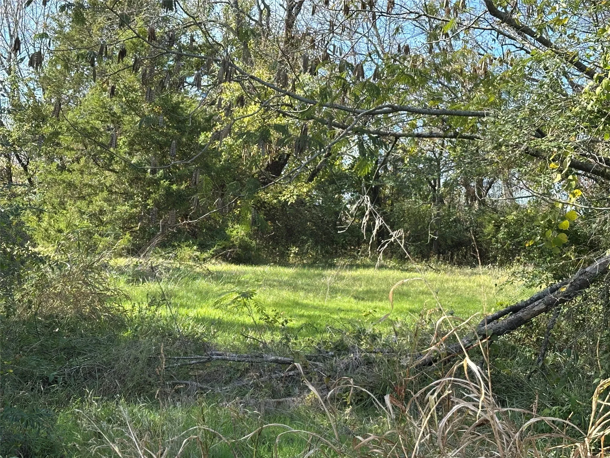 Unimproved Land For Sale in Delta County , 731 NW 1st Street, Cooper, Texas 75432, 0, 0, Garage spaces, 0 Sqft, built in 0, Price $49,000, mls#20781639, Real Estate Agent in Cooper, Homes For Sale in Delta county, Homes For Sale in Cooper, Realtor in Cooper Texas, Real Estate Brokerage Independent Realty Texas, Luminita Cordes Realtor