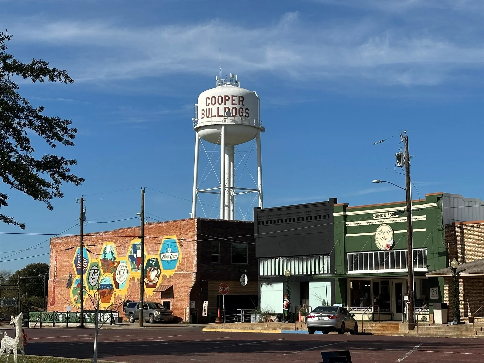 Unimproved Land For Sale in Delta County , 731 NW 1st Street, Cooper, Texas 75432, 0, 0, Garage spaces, 0 Sqft, built in 0, Price $49,000, mls#20781639, Real Estate Agent in Cooper, Homes For Sale in Delta county, Homes For Sale in Cooper, Realtor in Cooper Texas, Real Estate Brokerage Independent Realty Texas, Luminita Cordes Realtor