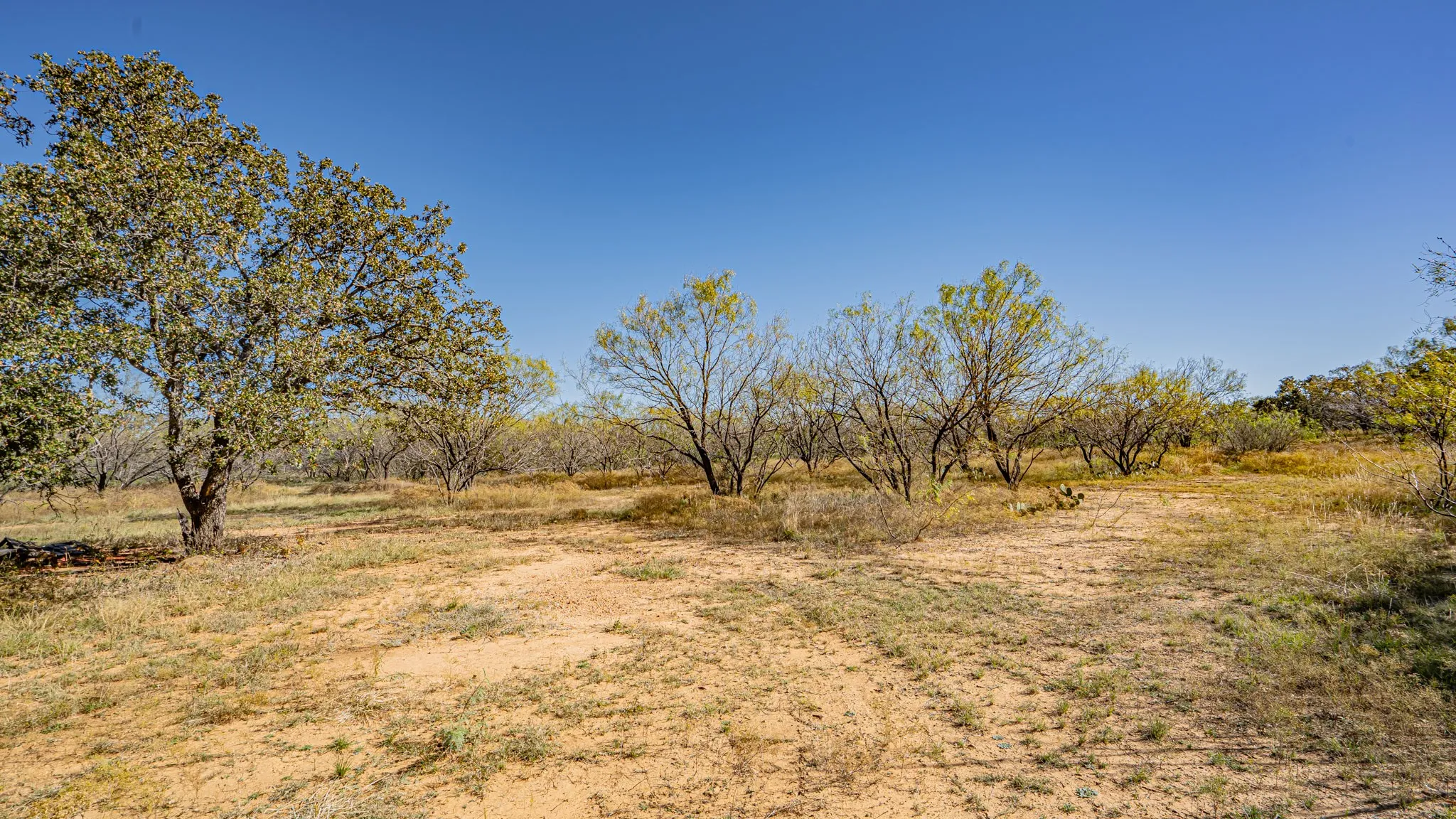 Unimproved Land For Sale in Eastland County , TBD N Virginia, Eastland, Texas 76448, 0, 0, Garage spaces, 0 Sqft, built in 0, mls#20781024, Real Estate Agent in Eastland, Homes For Sale in Eastland county, Homes For Sale in Eastland, Realtor in Eastland Texas, Real Estate Brokerage Independent Realty Texas, Luminita Cordes Realtor