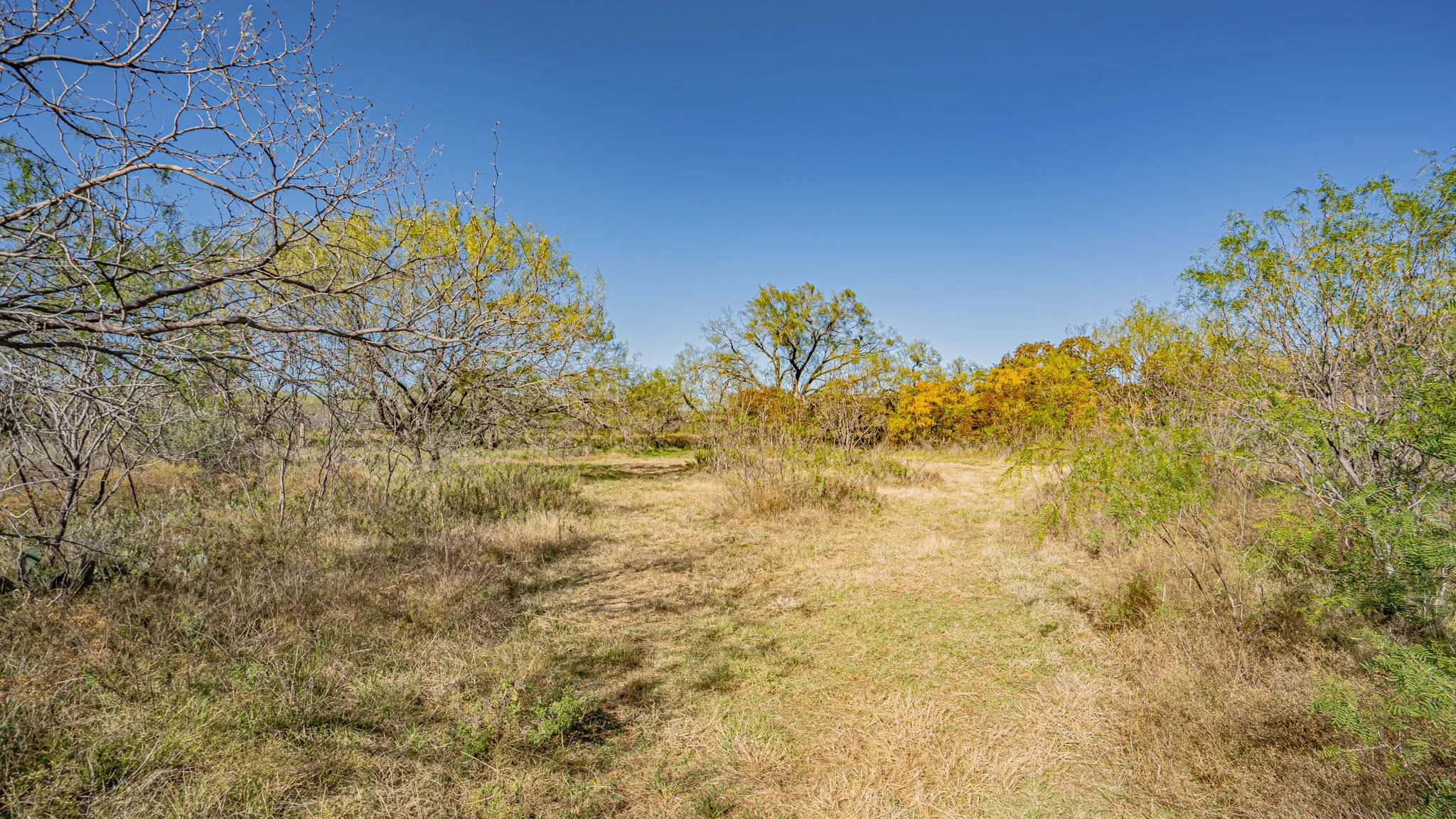 Unimproved Land For Sale in Eastland County , TBD N Virginia, Eastland, Texas 76448, 0, 0, Garage spaces, 0 Sqft, built in 0, mls#20781024, Real Estate Agent in Eastland, Homes For Sale in Eastland county, Homes For Sale in Eastland, Realtor in Eastland Texas, Real Estate Brokerage Independent Realty Texas, Luminita Cordes Realtor