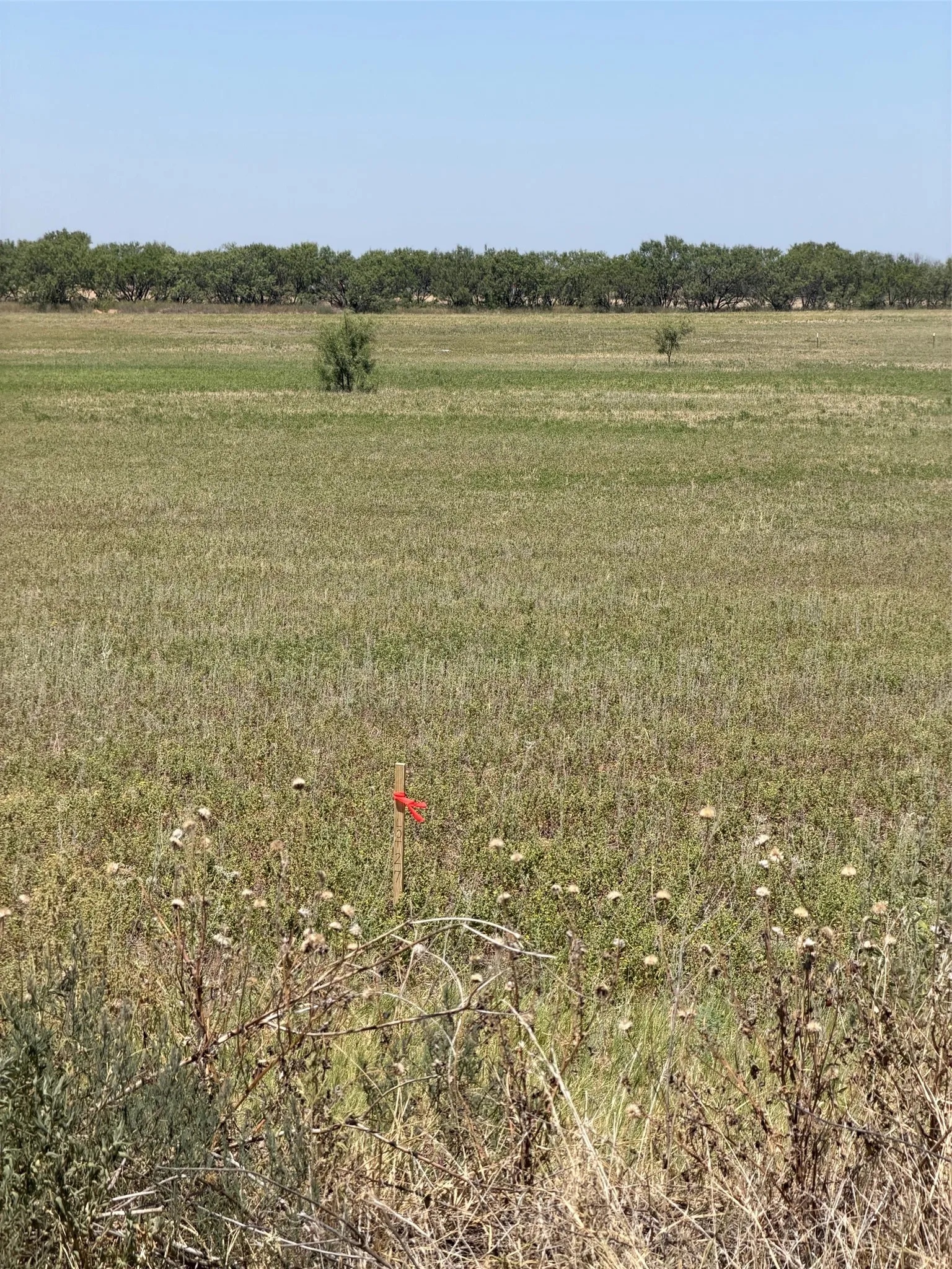 Unimproved Land For Sale in Jones County , TBD Lot 24 County Road 497, Anson, Texas 79501, 0, 0, Garage spaces, 0 Sqft, built in 0, mls#20783188, Real Estate Agent in Anson, Homes For Sale in Jones county, Homes For Sale in Anson, Realtor in Anson Texas, Real Estate Brokerage Independent Realty Texas, Luminita Cordes Realtor
