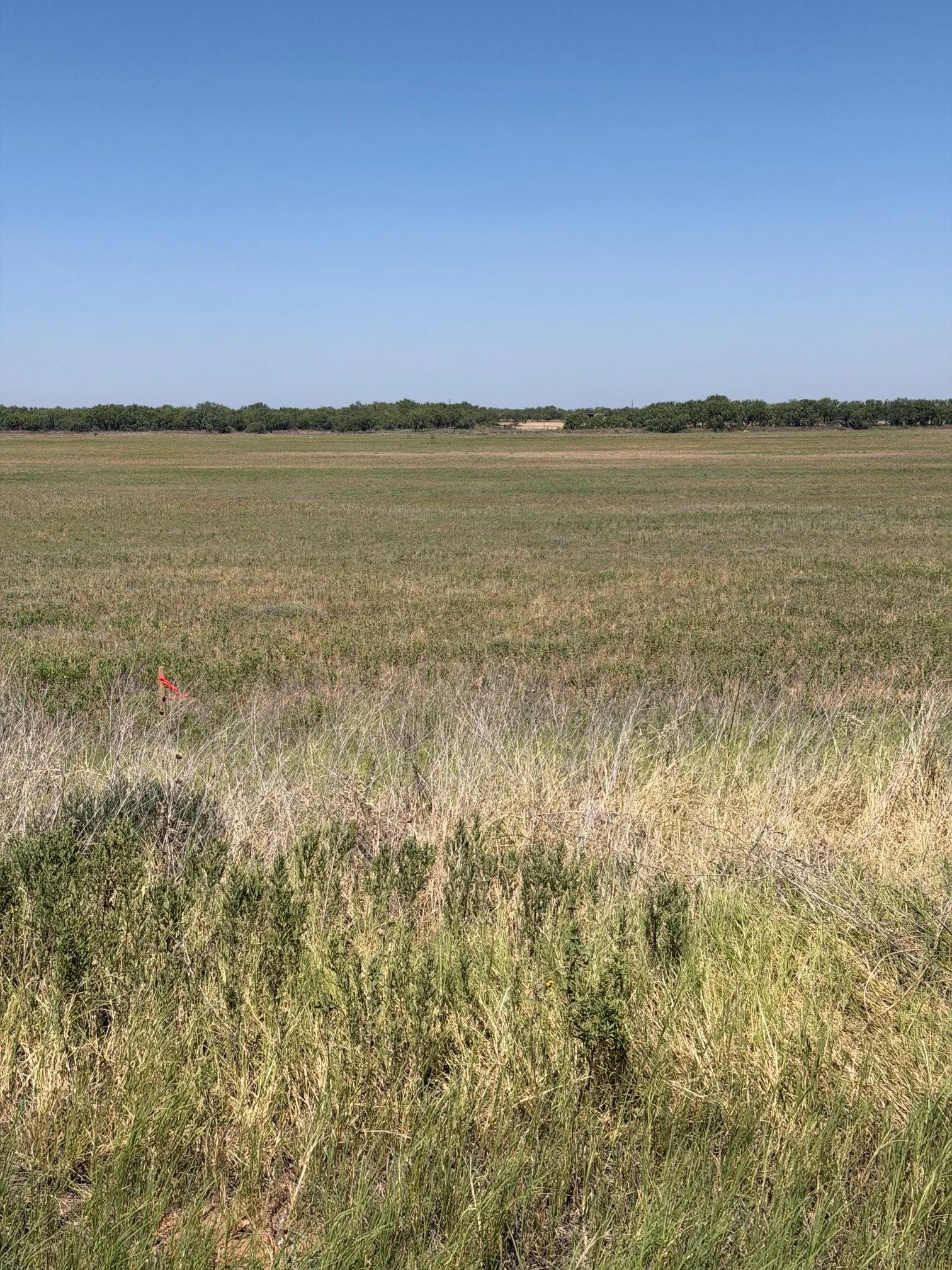 Unimproved Land For Sale in Jones County , TBD Lot 25 County Road 497, Anson, Texas 79501, 0, 0, Garage spaces, 0 Sqft, built in 0, mls#20783194, Real Estate Agent in Anson, Homes For Sale in Jones county, Homes For Sale in Anson, Realtor in Anson Texas, Real Estate Brokerage Independent Realty Texas, Luminita Cordes Realtor