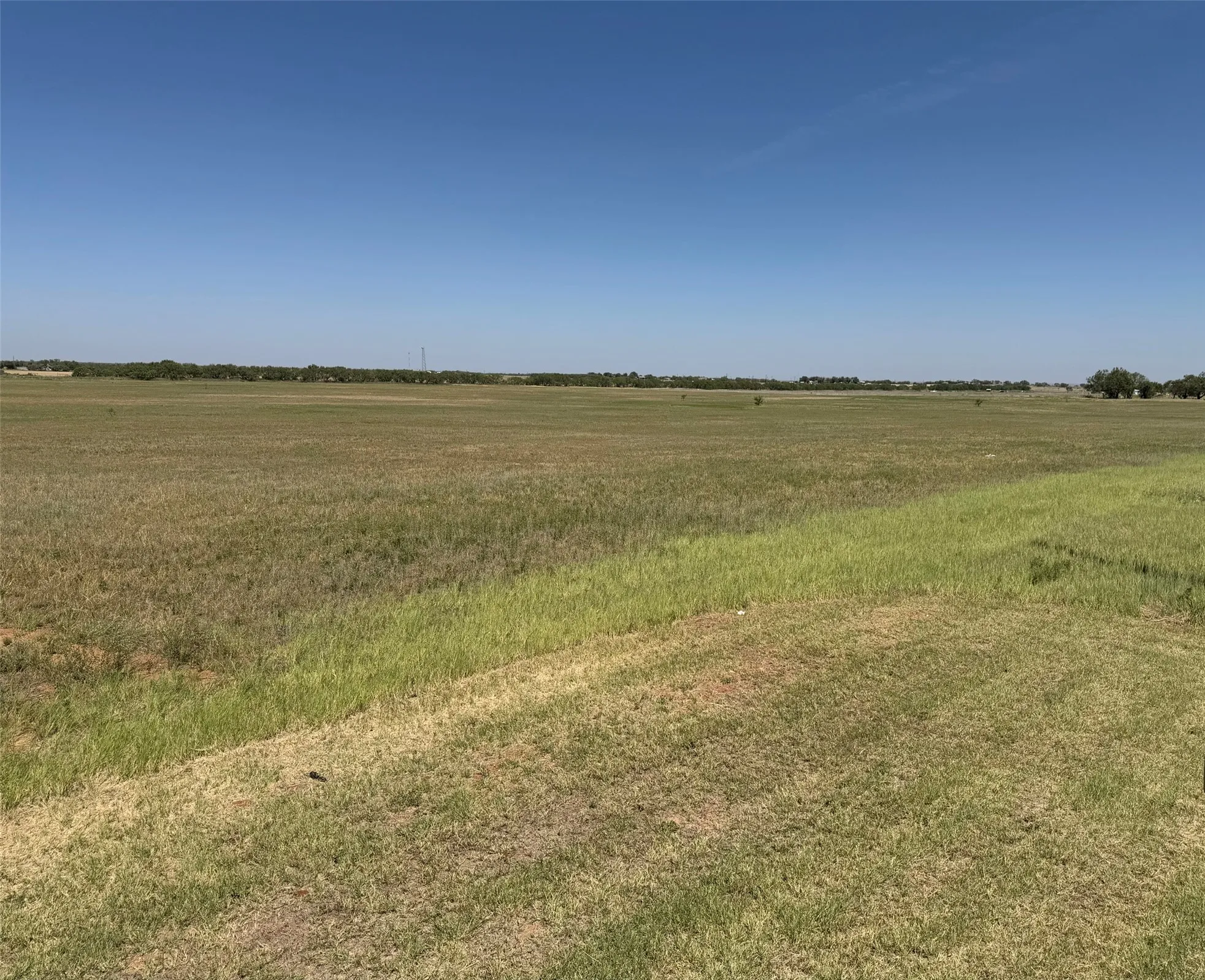 Unimproved Land For Sale in Jones County , TBD Lot 28 County Road 497, Anson, Texas 79501, 0, 0, Garage spaces, 0 Sqft, built in 0, mls#20783209, Real Estate Agent in Anson, Homes For Sale in Jones county, Homes For Sale in Anson, Realtor in Anson Texas, Real Estate Brokerage Independent Realty Texas, Luminita Cordes Realtor