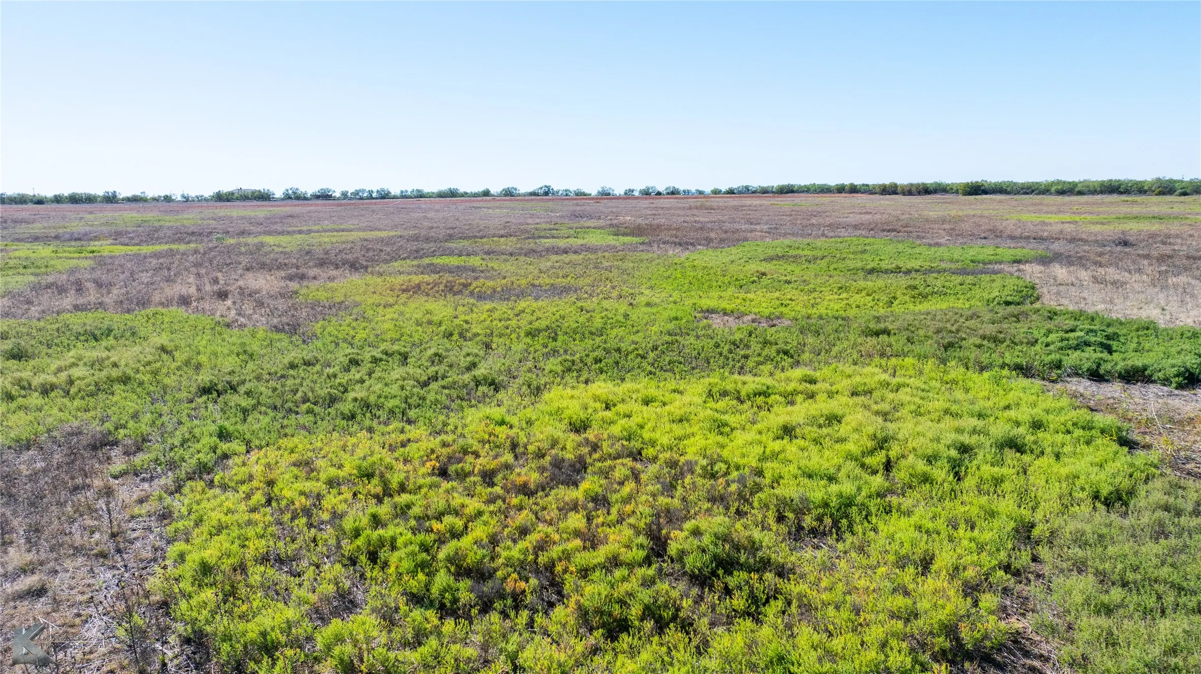 Unimproved Land For Sale in Jones County , TBD Lot 31 County Road 497, Anson, Texas 79501, 0, 0, Garage spaces, 0 Sqft, built in 0, mls#20783218, Real Estate Agent in Anson, Homes For Sale in Jones county, Homes For Sale in Anson, Realtor in Anson Texas, Real Estate Brokerage Independent Realty Texas, Luminita Cordes Realtor