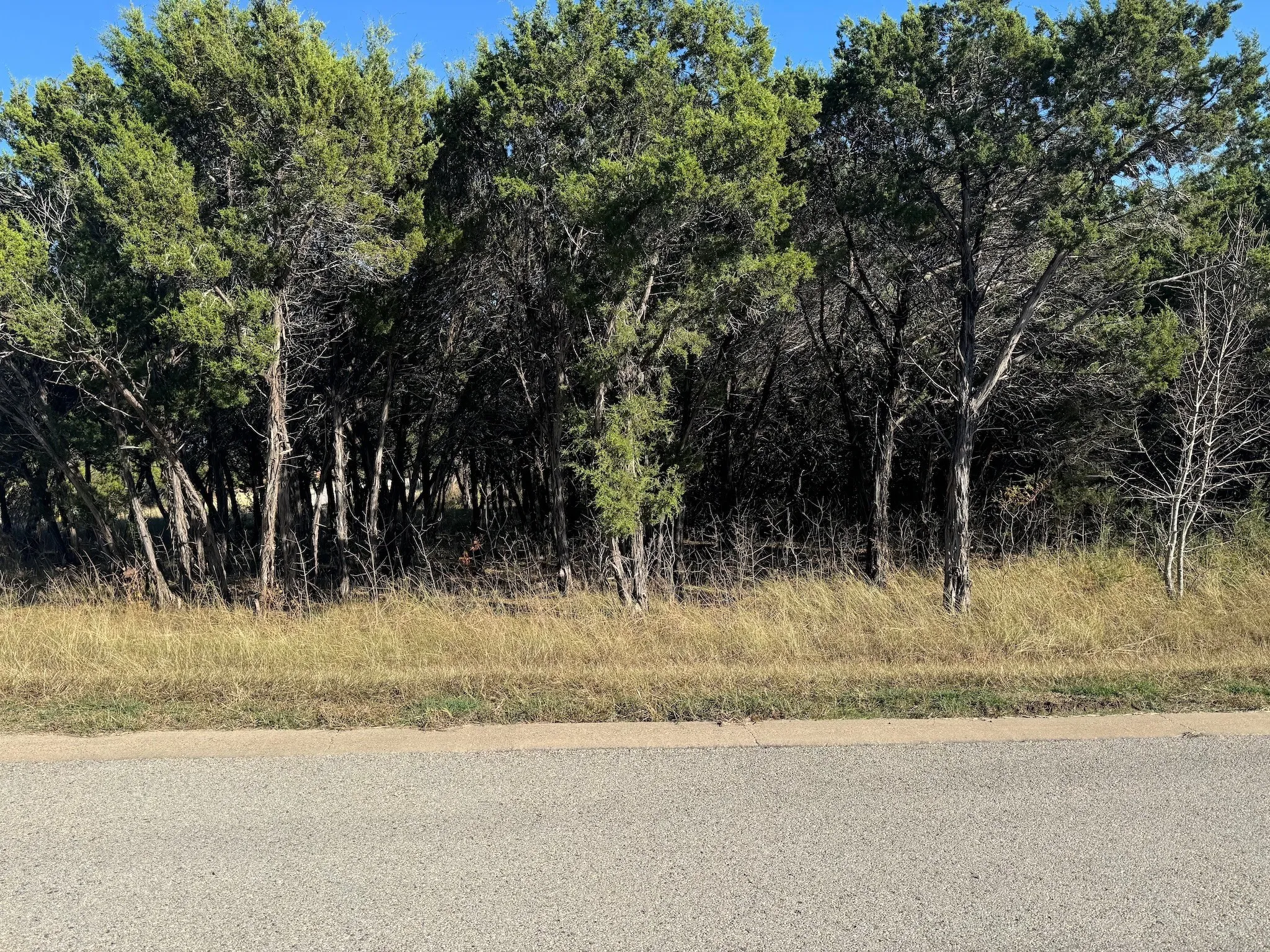 Unimproved Land For Sale in Johnson County , 6101 Valderrama Drive, Cleburne, Texas 76033, 0, 0, Garage spaces, 0 Sqft, built in 0, mls#20782287, Real Estate Agent in Cleburne, Homes For Sale in Johnson county, Homes For Sale in Cleburne, Realtor in Cleburne Texas, Real Estate Brokerage Independent Realty Texas, Luminita Cordes Realtor