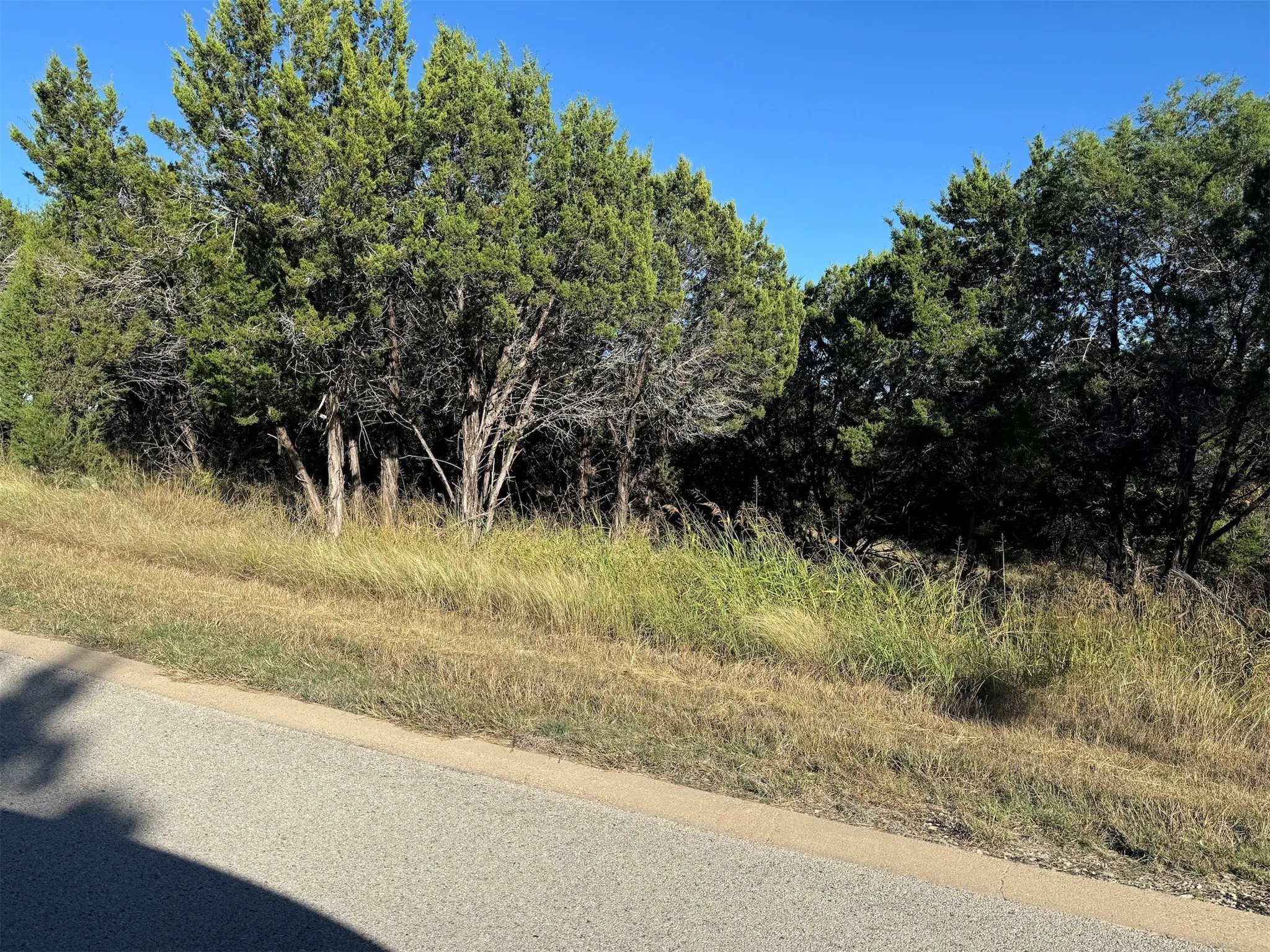 View of road