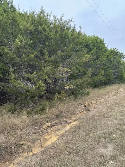 Unimproved Land For Sale in Hill County , 12048 Shady Creek Drive, Whitney, Texas 76692, 0, 0, Garage spaces, 0 Sqft, built in 0, mls#20784969, Real Estate Agent in Whitney, Homes For Sale in Hill county, Homes For Sale in Whitney, Realtor in Whitney Texas, Real Estate Brokerage Independent Realty Texas, Luminita Cordes Realtor